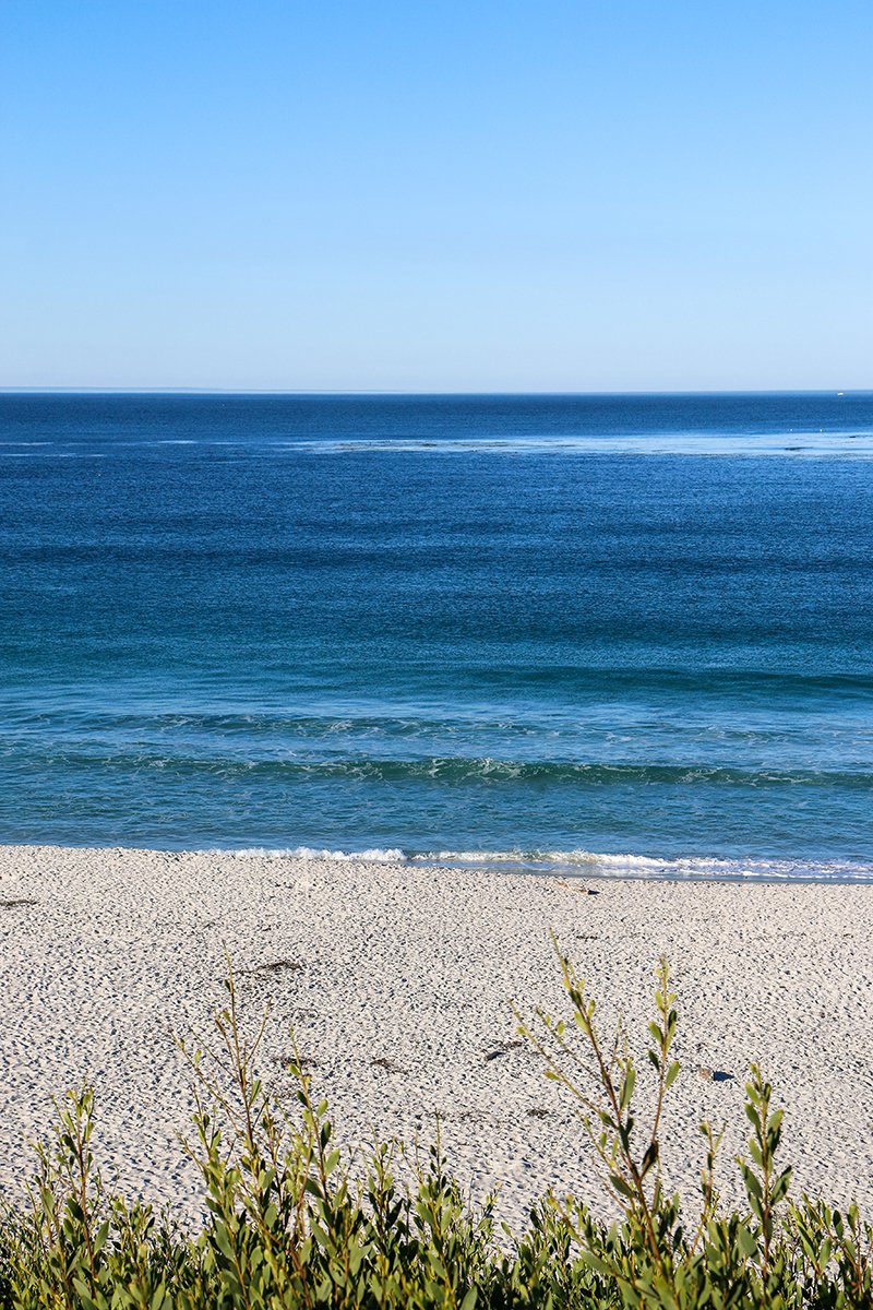 White Sands — Field Architecture