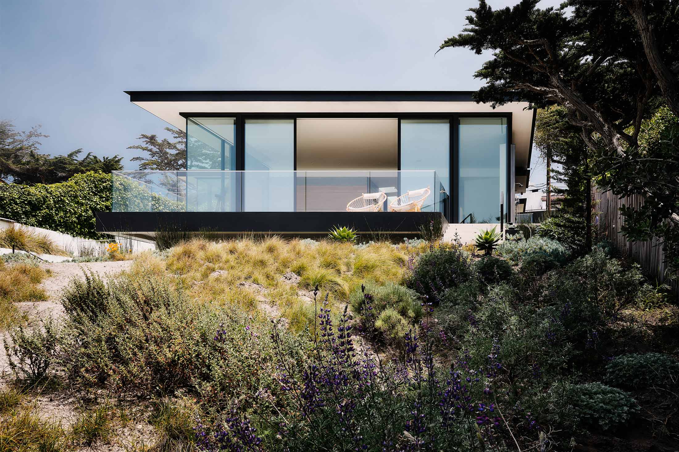 WHITE SANDS — Field Architecture