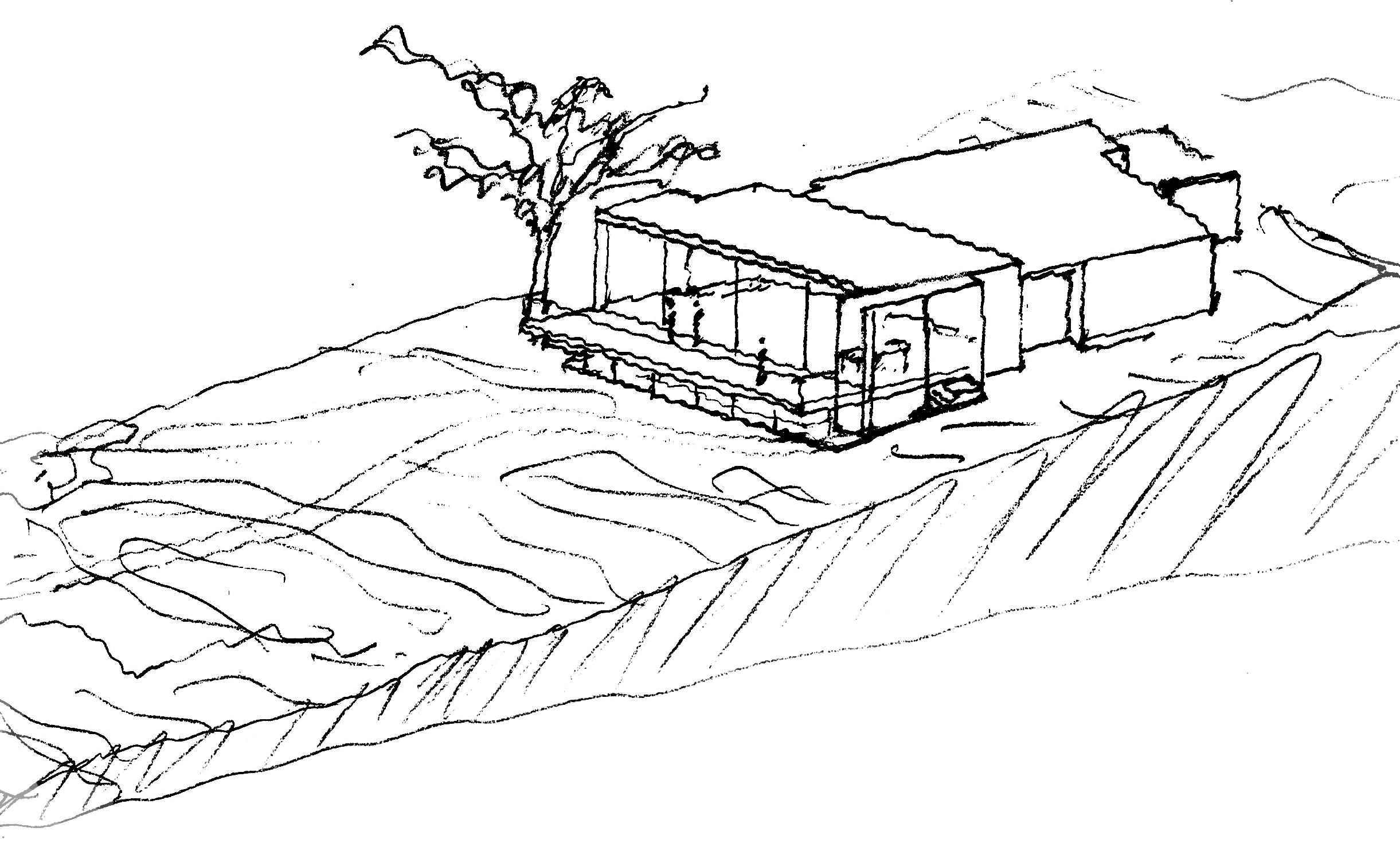 White Sands — Field Architecture