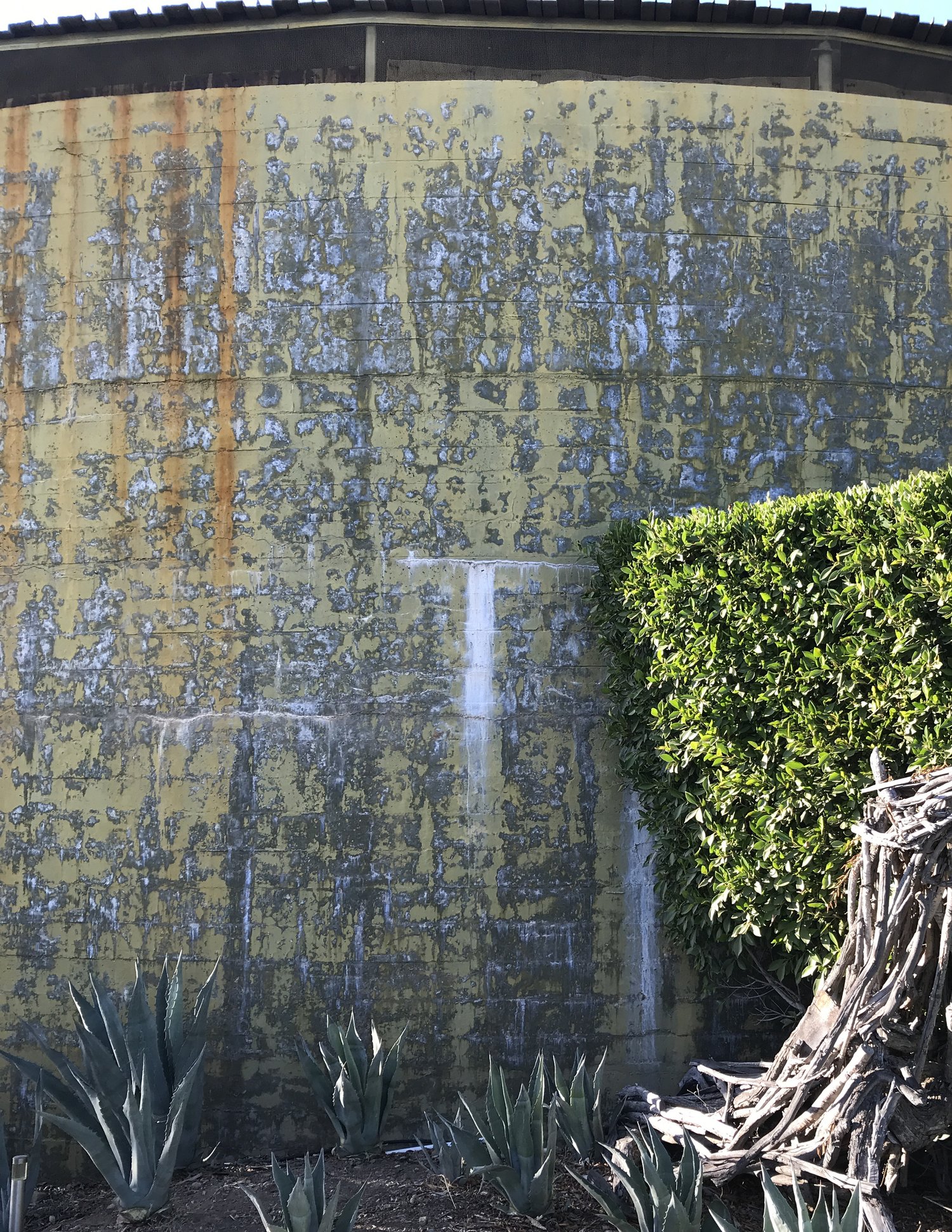 Tank House — Two Trees Architects