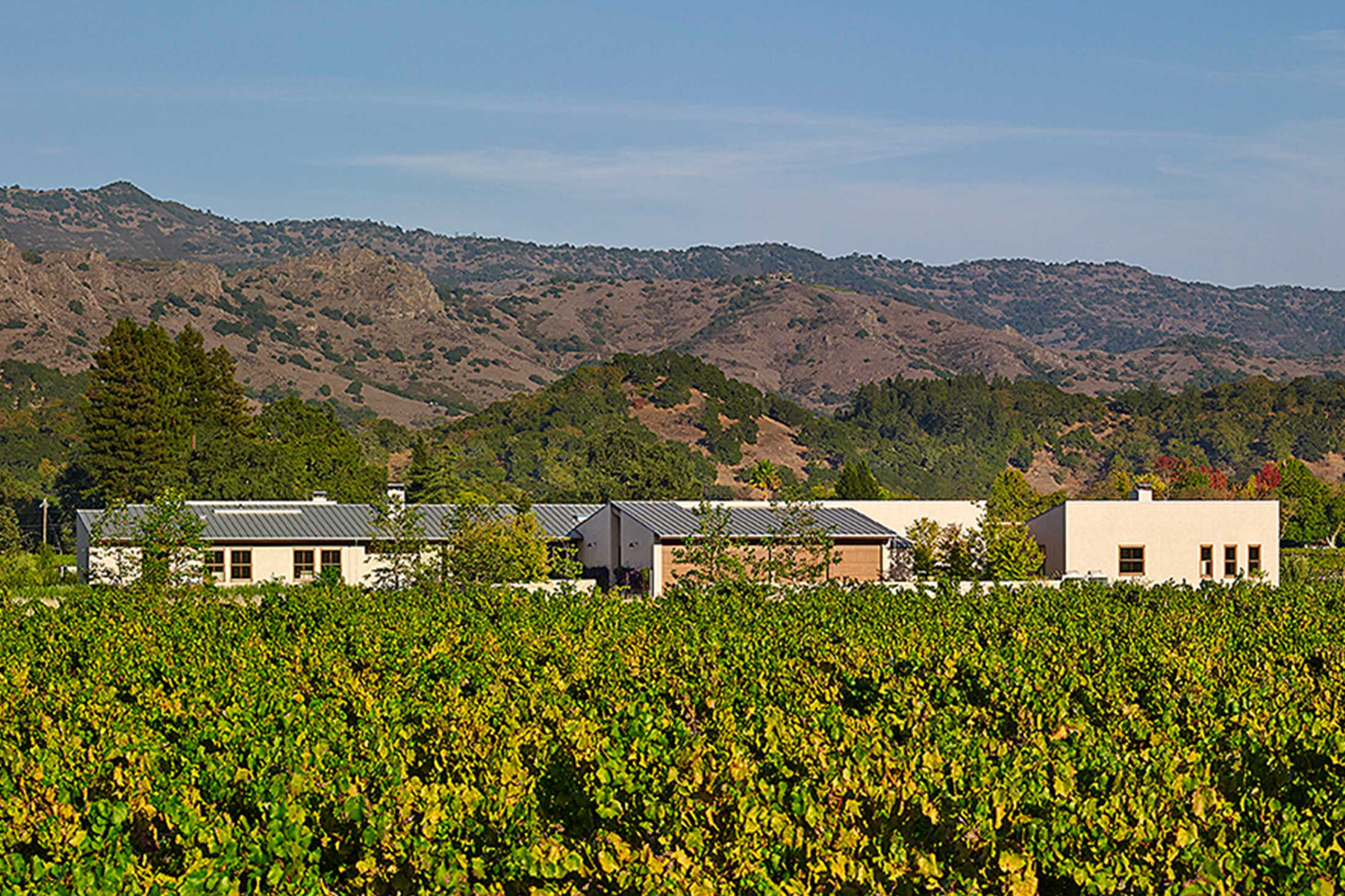 YOUNTVILLE HOUSE — Field Architecture