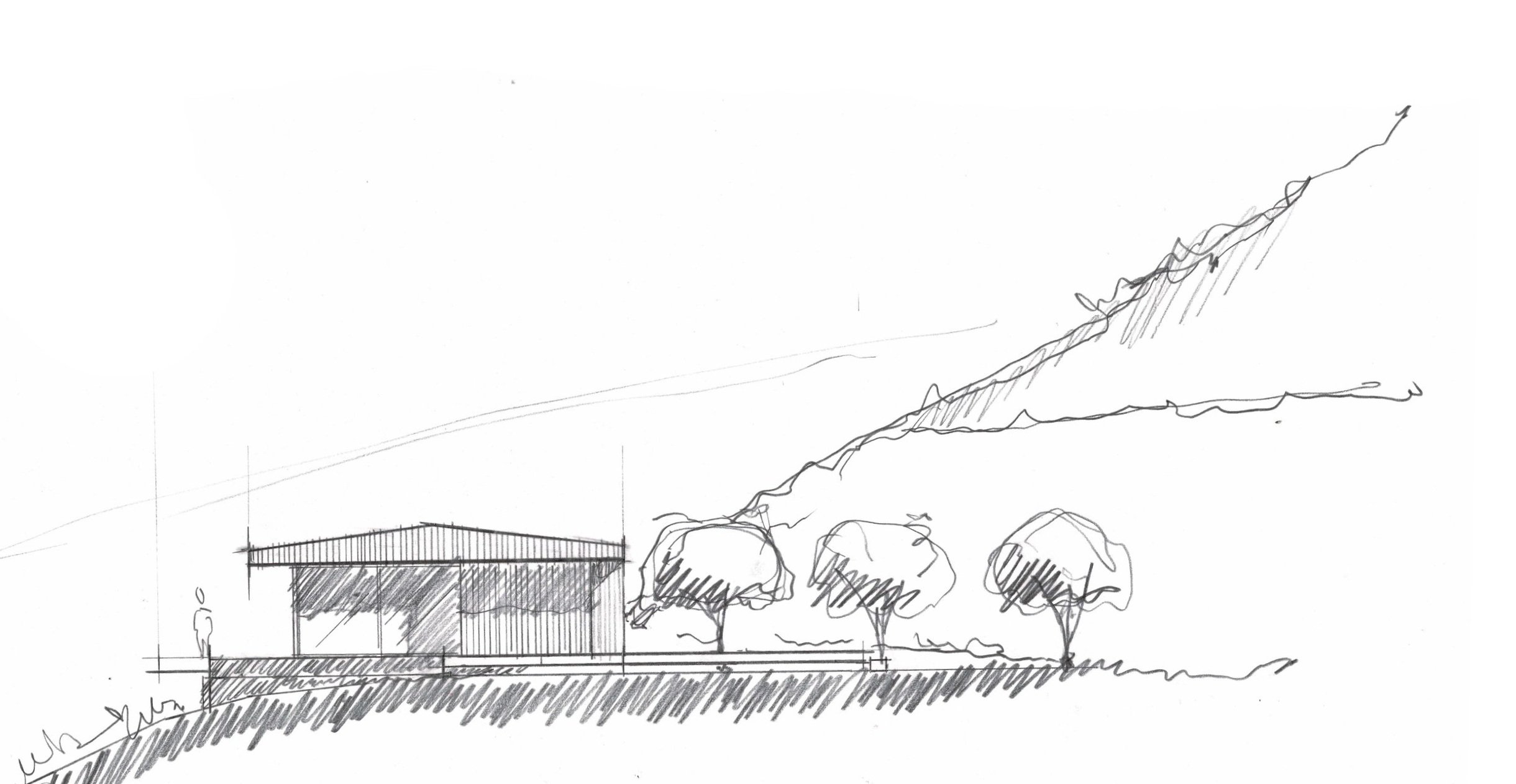 YERBA BUENA — a34studio