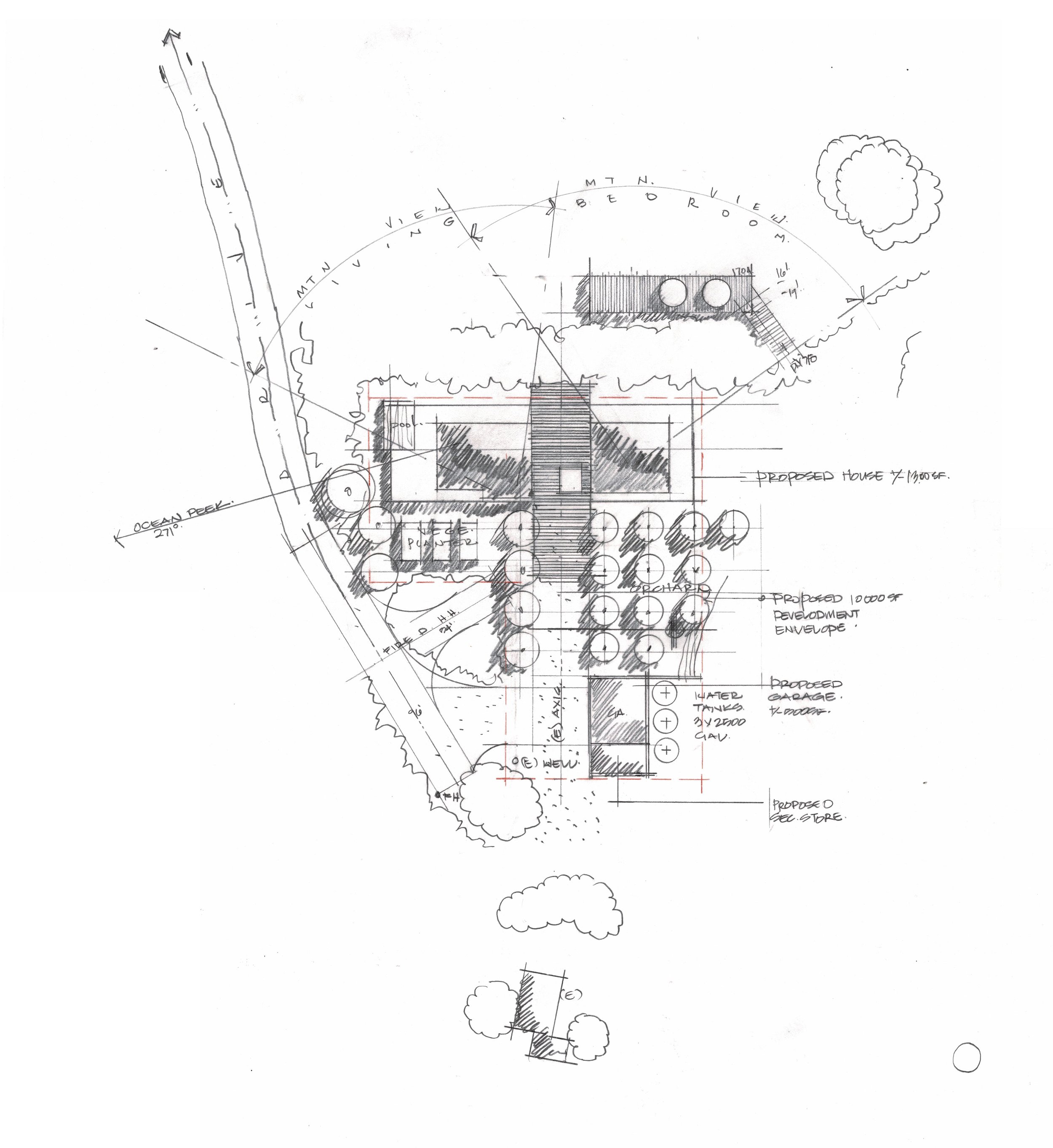YERBA BUENA — a34studio