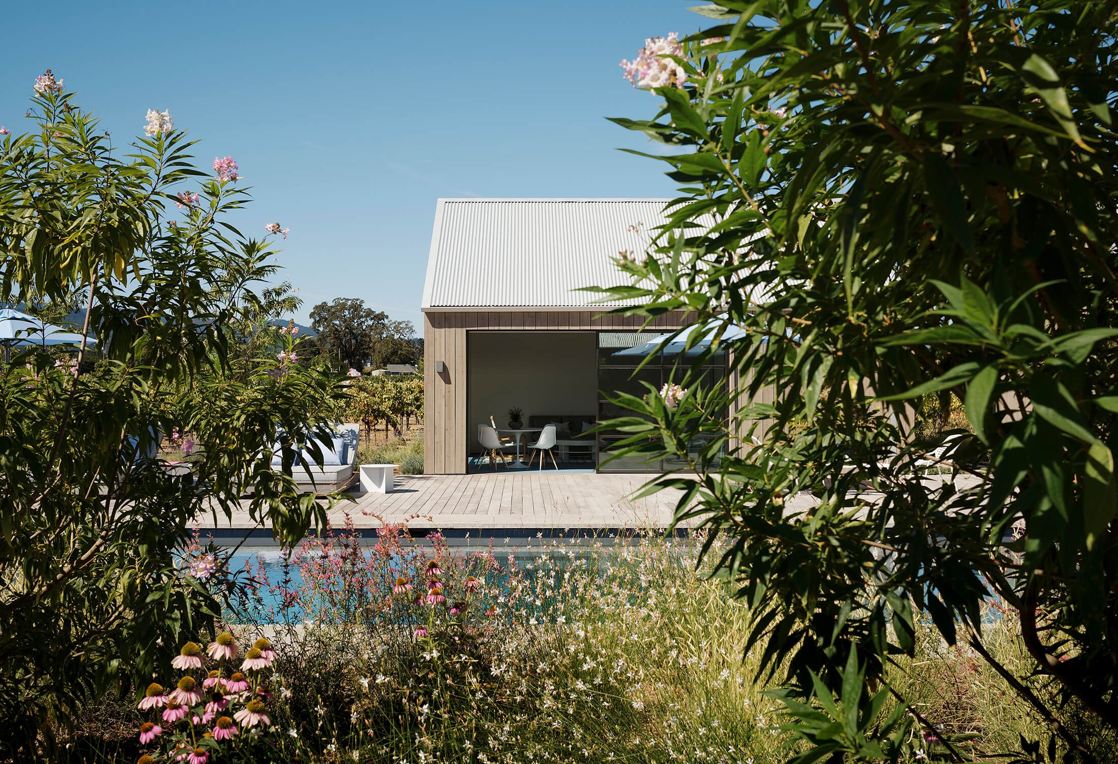 Zinfandel — Field Architecture