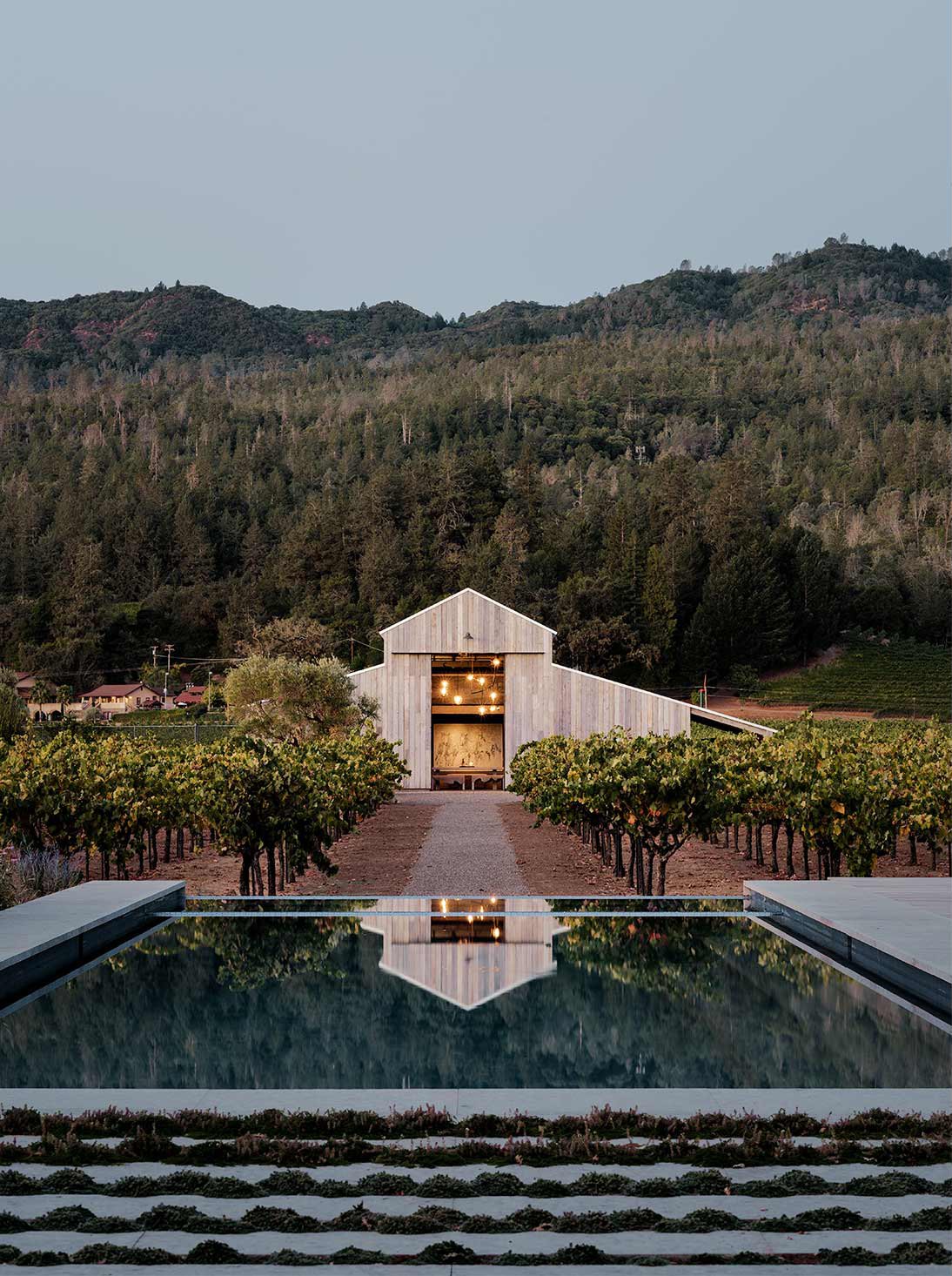 Zinfandel — Field Architecture