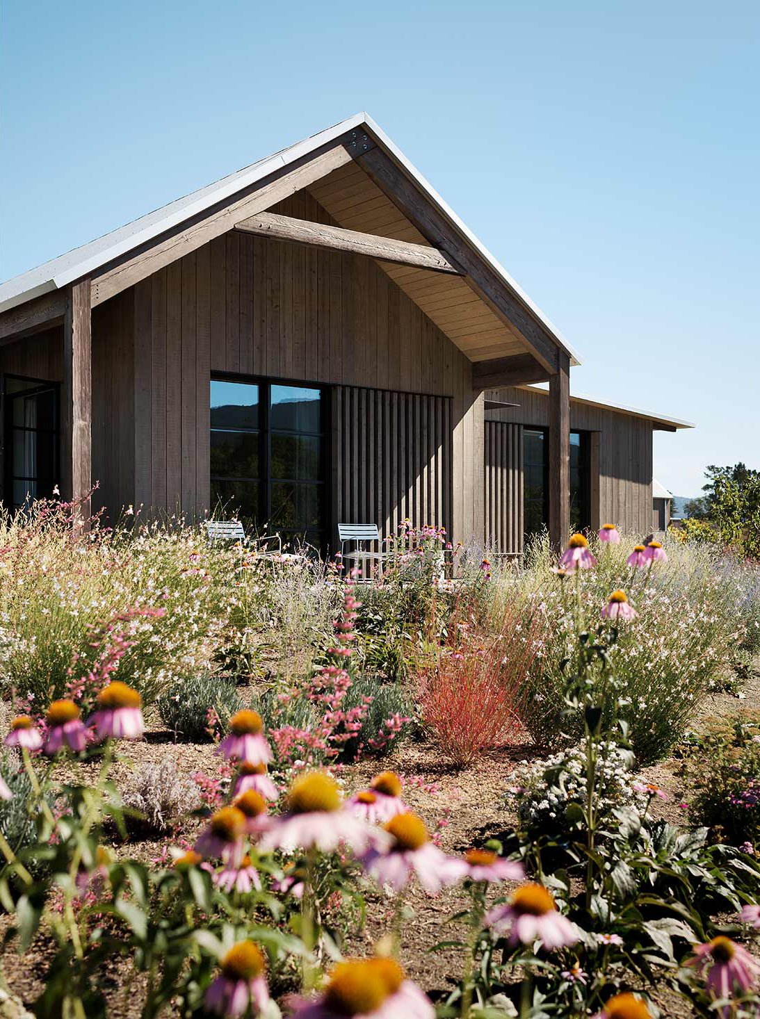 Zinfandel — Field Architecture
