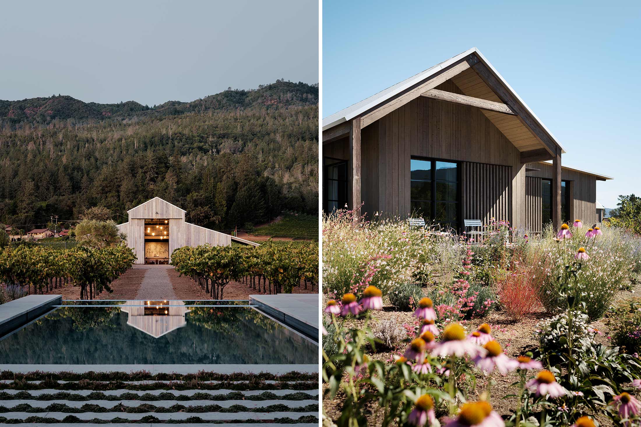 ZINFANDEL — Field Architecture