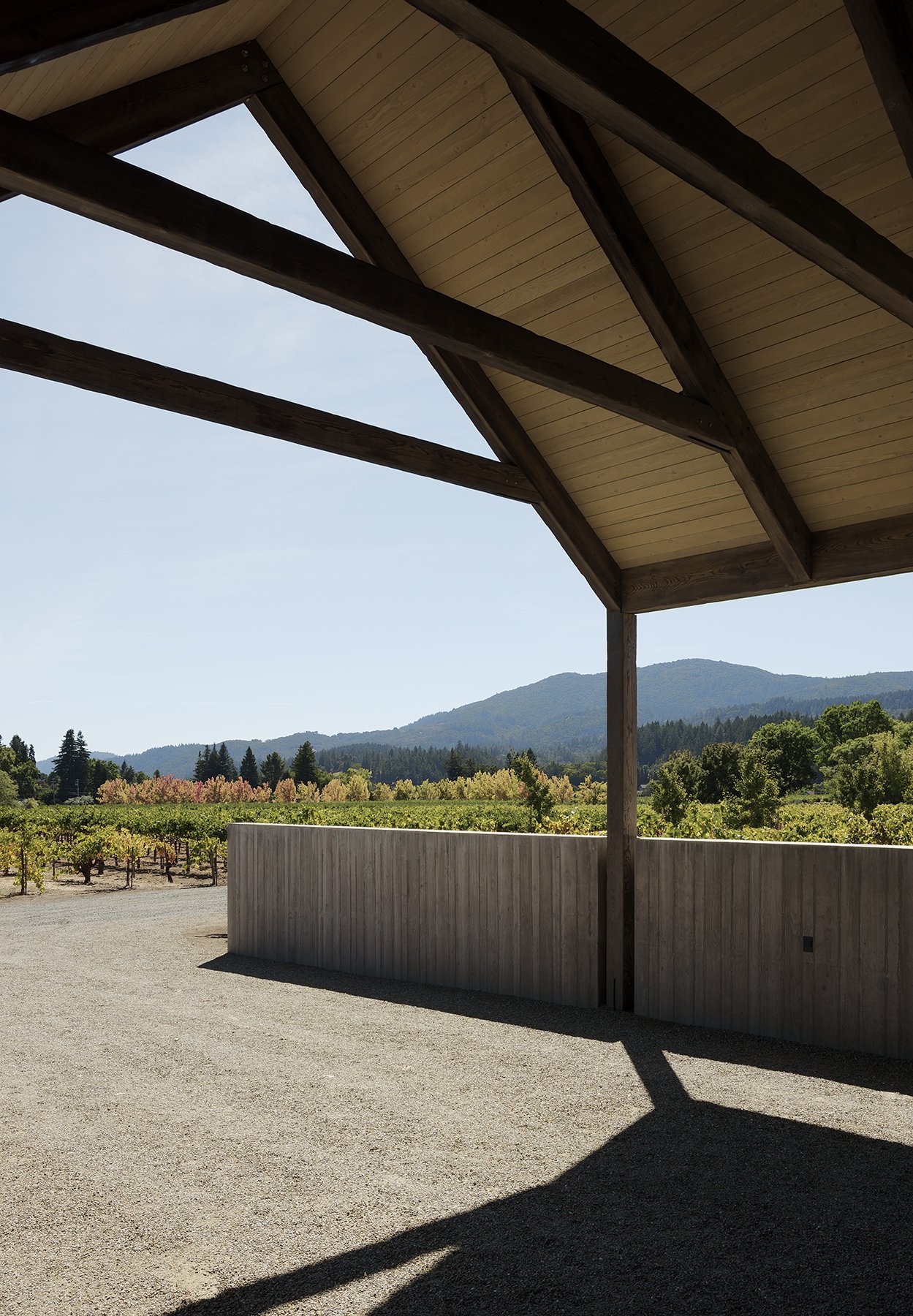 Zinfandel — Field Architecture