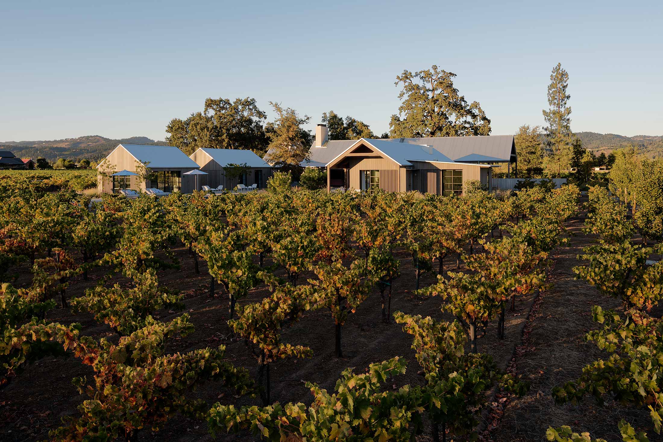 ZINFANDEL — Field Architecture
