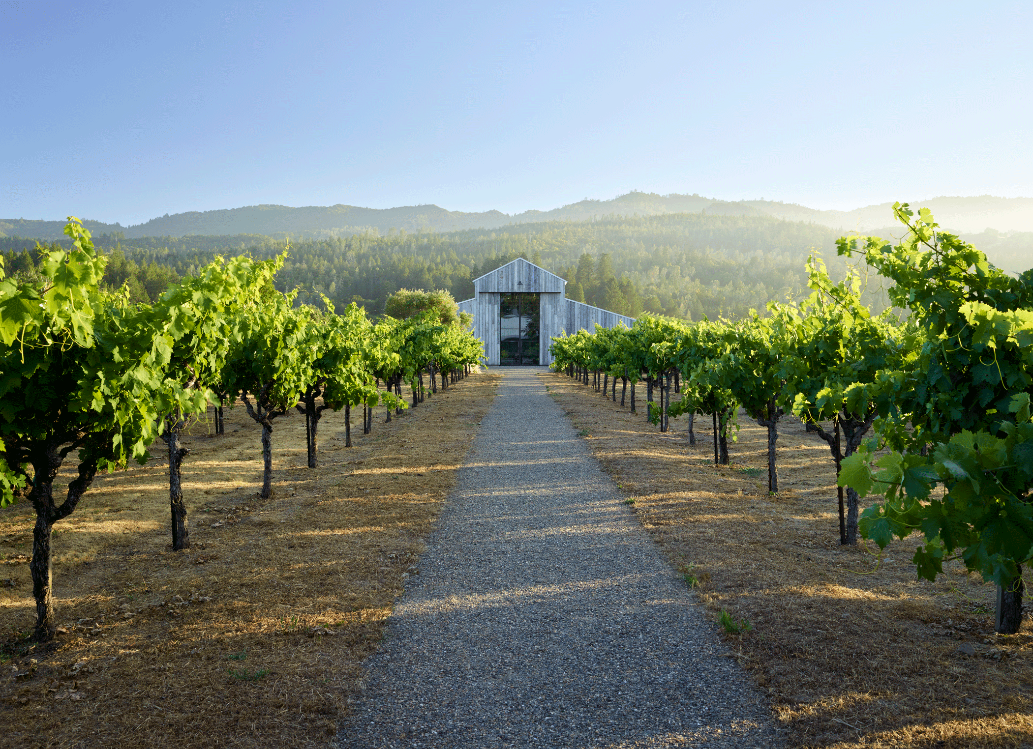 Zinfandel Lane — Surfacedesign, Inc.