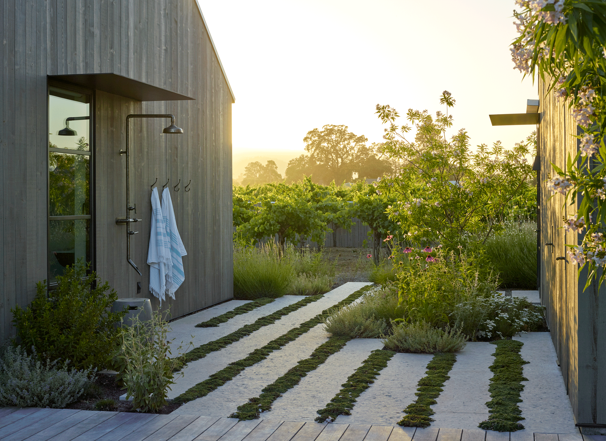 Zinfandel Lane — Surfacedesign, Inc.