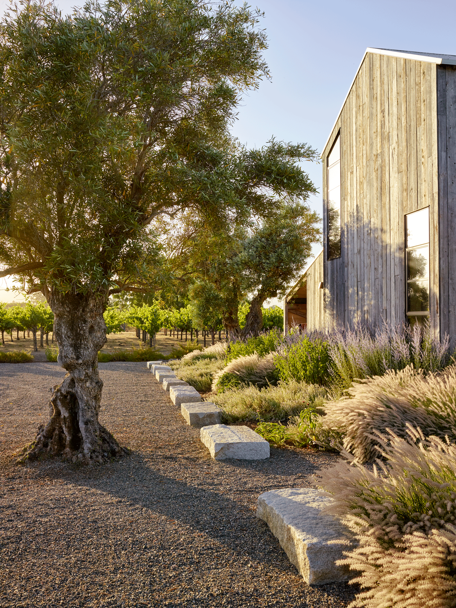 Zinfandel Lane — Surfacedesign, Inc.