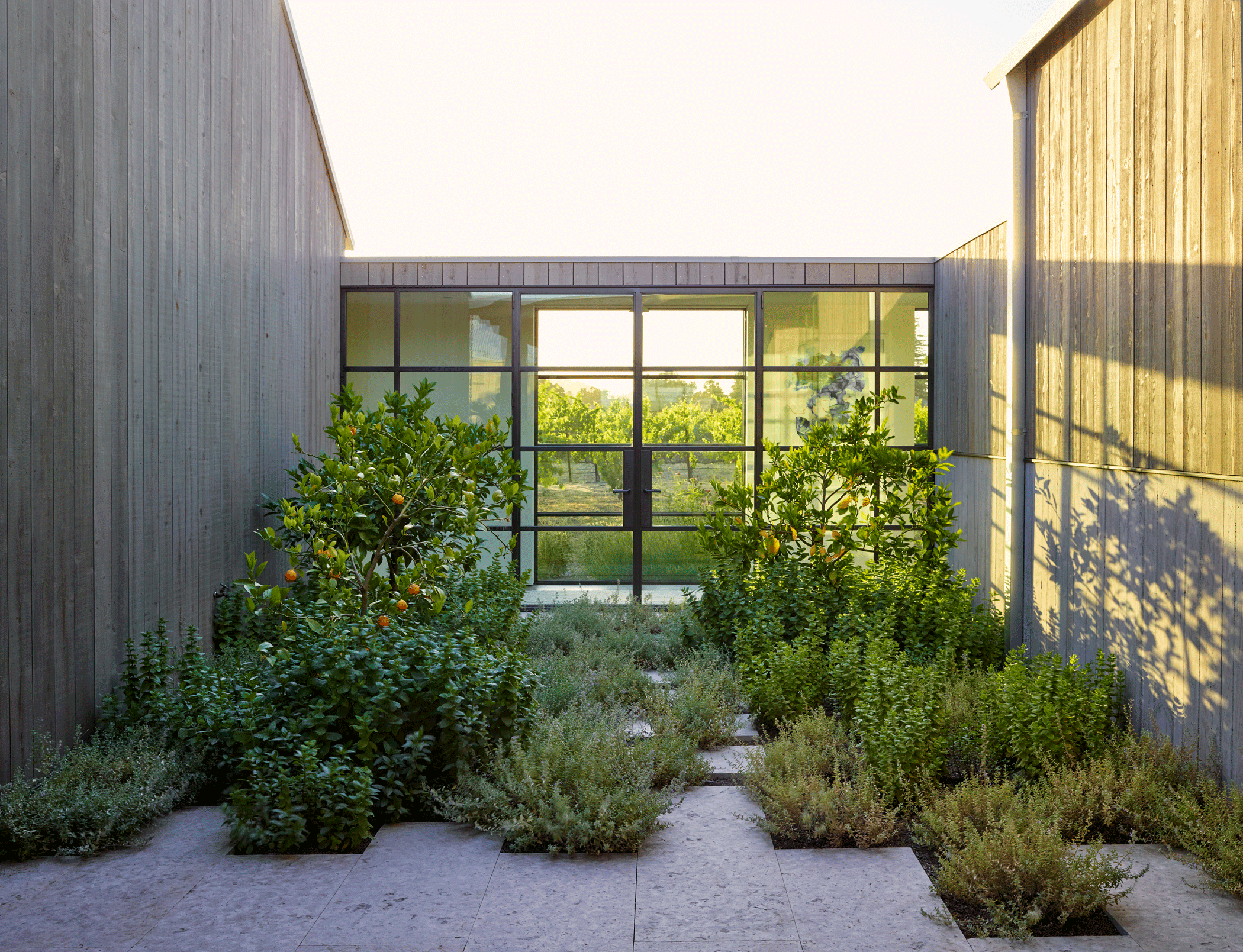 Zinfandel Lane — Surfacedesign, Inc.