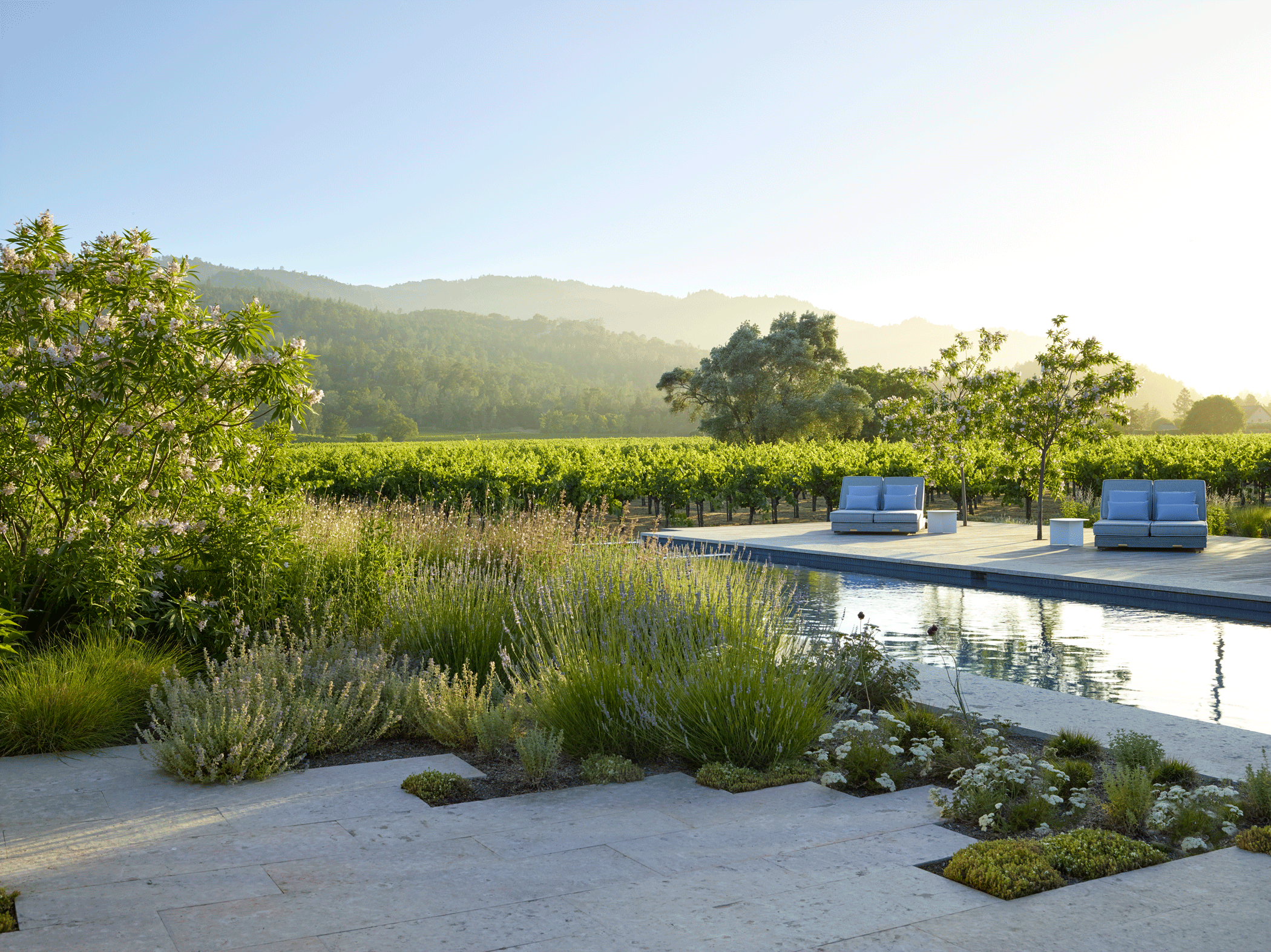 Zinfandel Lane — Surfacedesign, Inc.