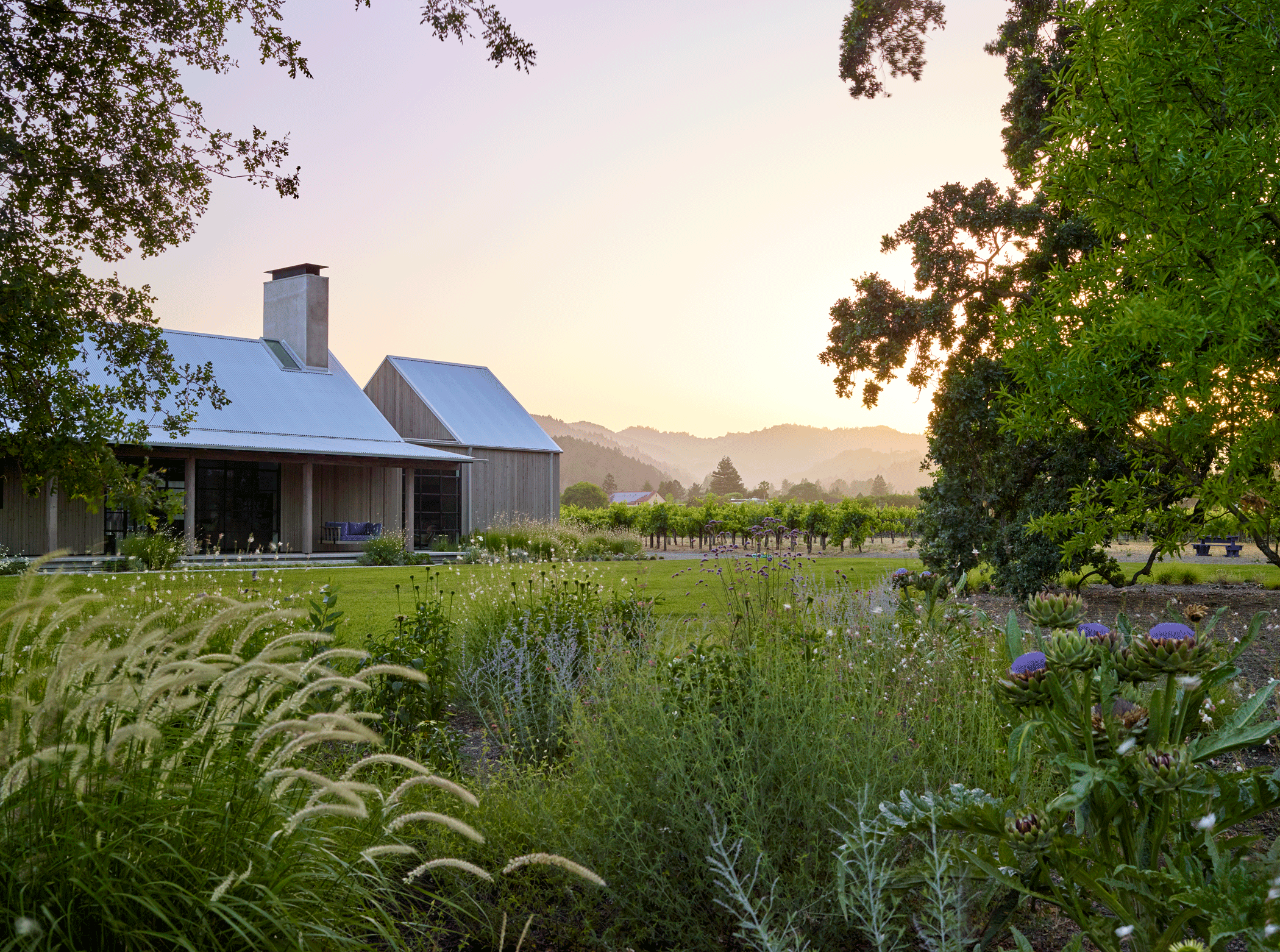 Zinfandel Lane — Surfacedesign, Inc.