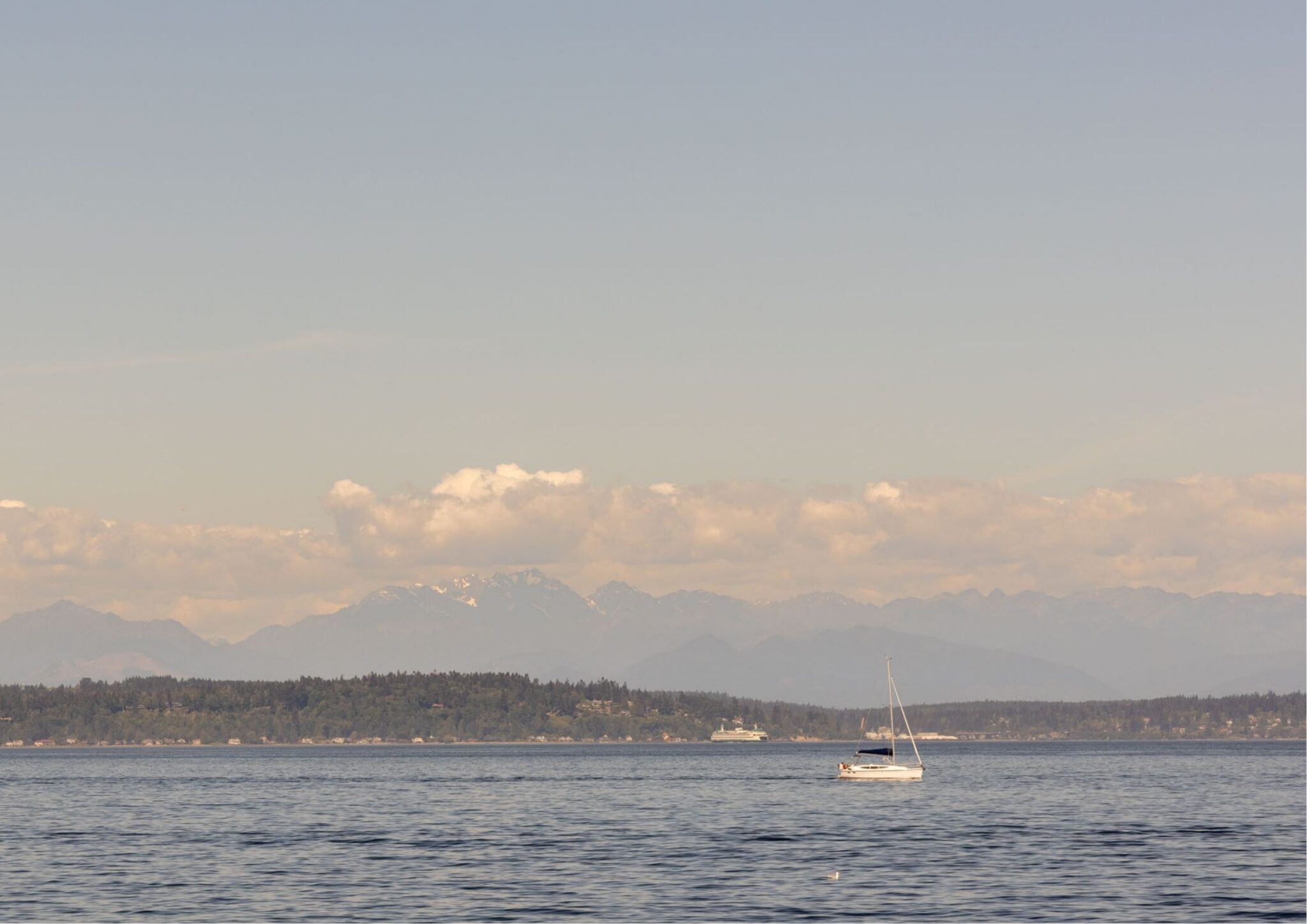 SHED Architecture & Design — Seattle Architects — Alki Lookout — SHED Architecture & Design