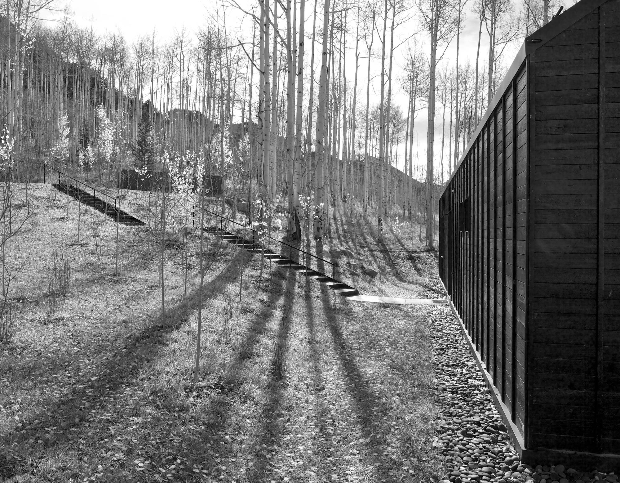 Cottage Black — Studio B 