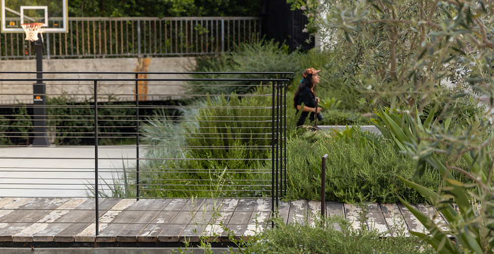 TRANSECT — TOPOPHYLA
