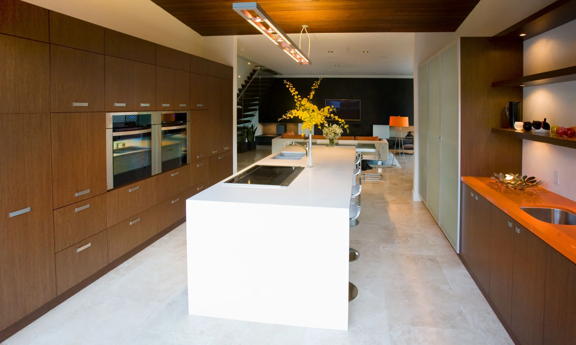 Jackdaw — Nakhshab Development Design
