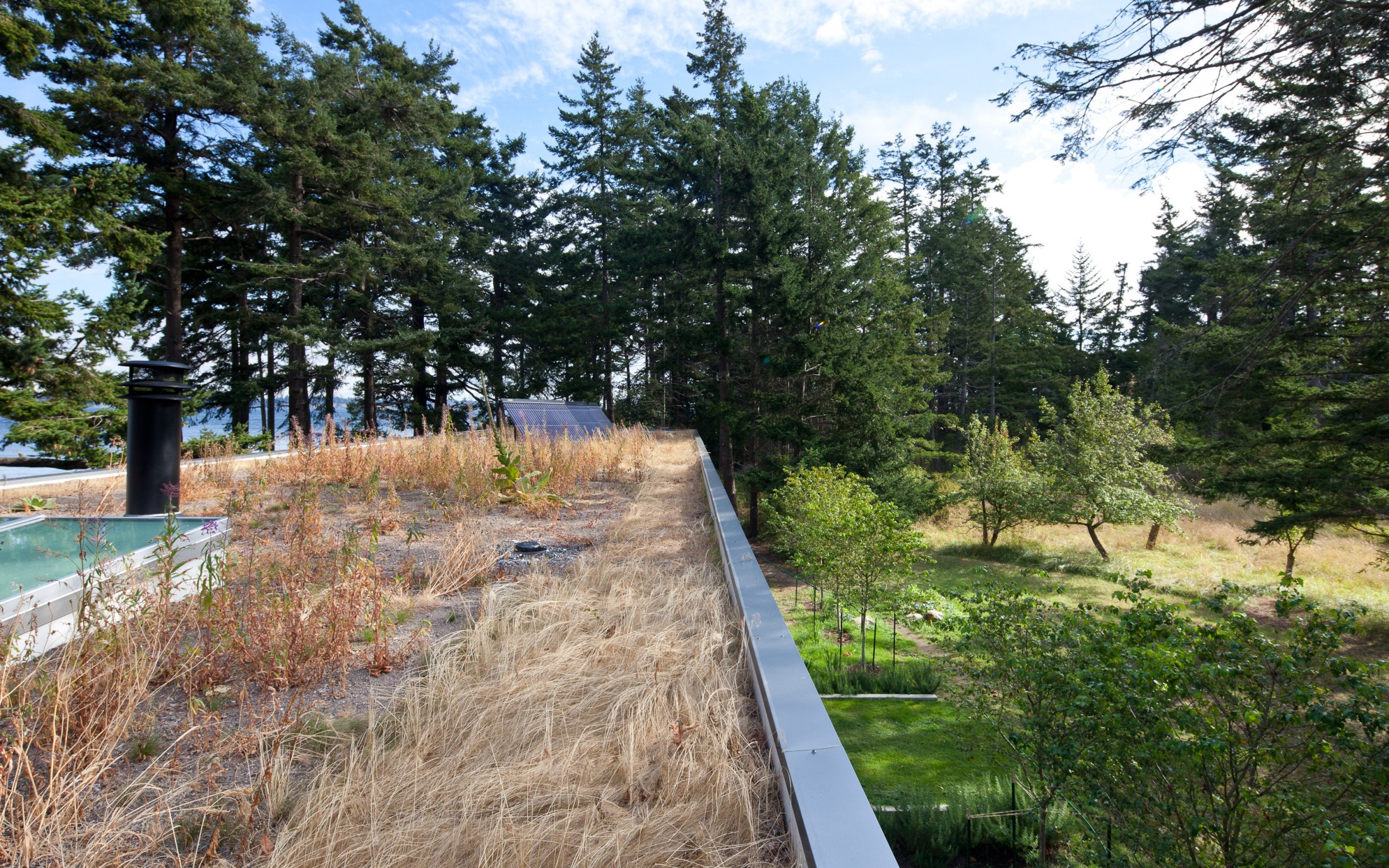 Heliotrope — North Beach — Heliotrope Architects