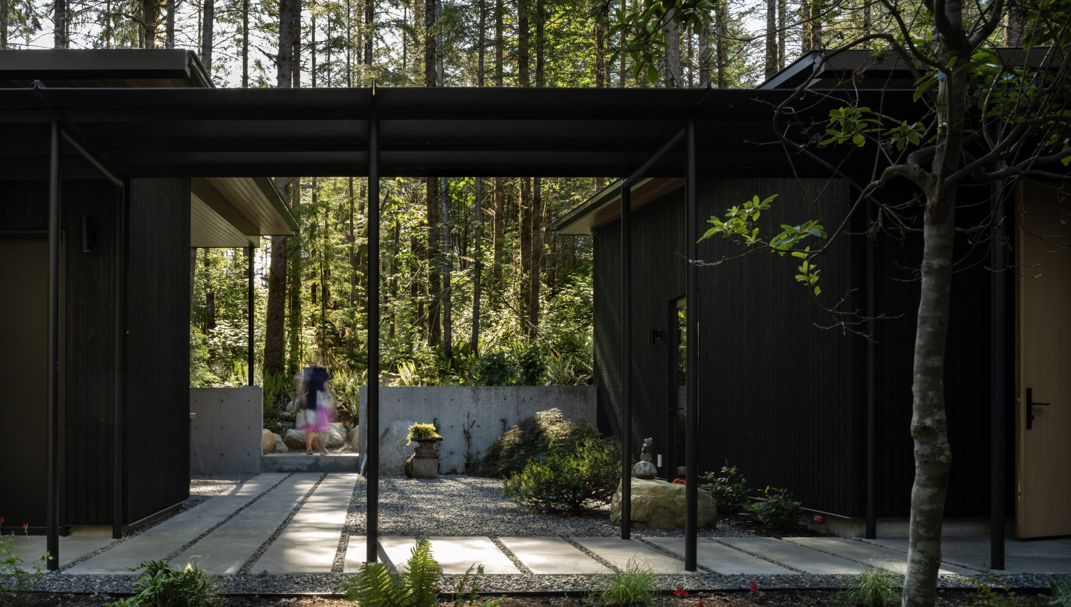 Forest Pavilion Home — Signal Architecture