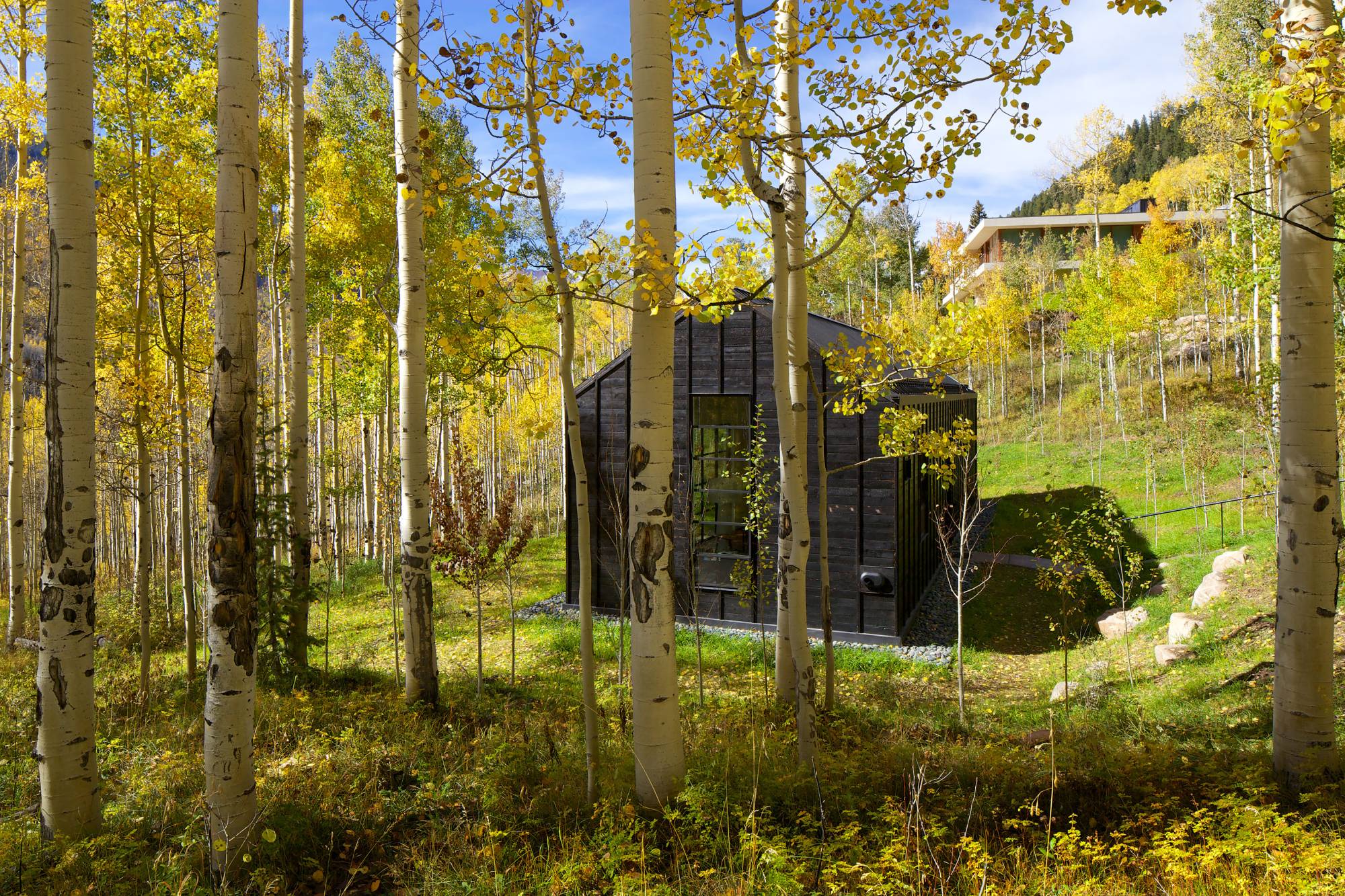 Cottage Black — Studio B 