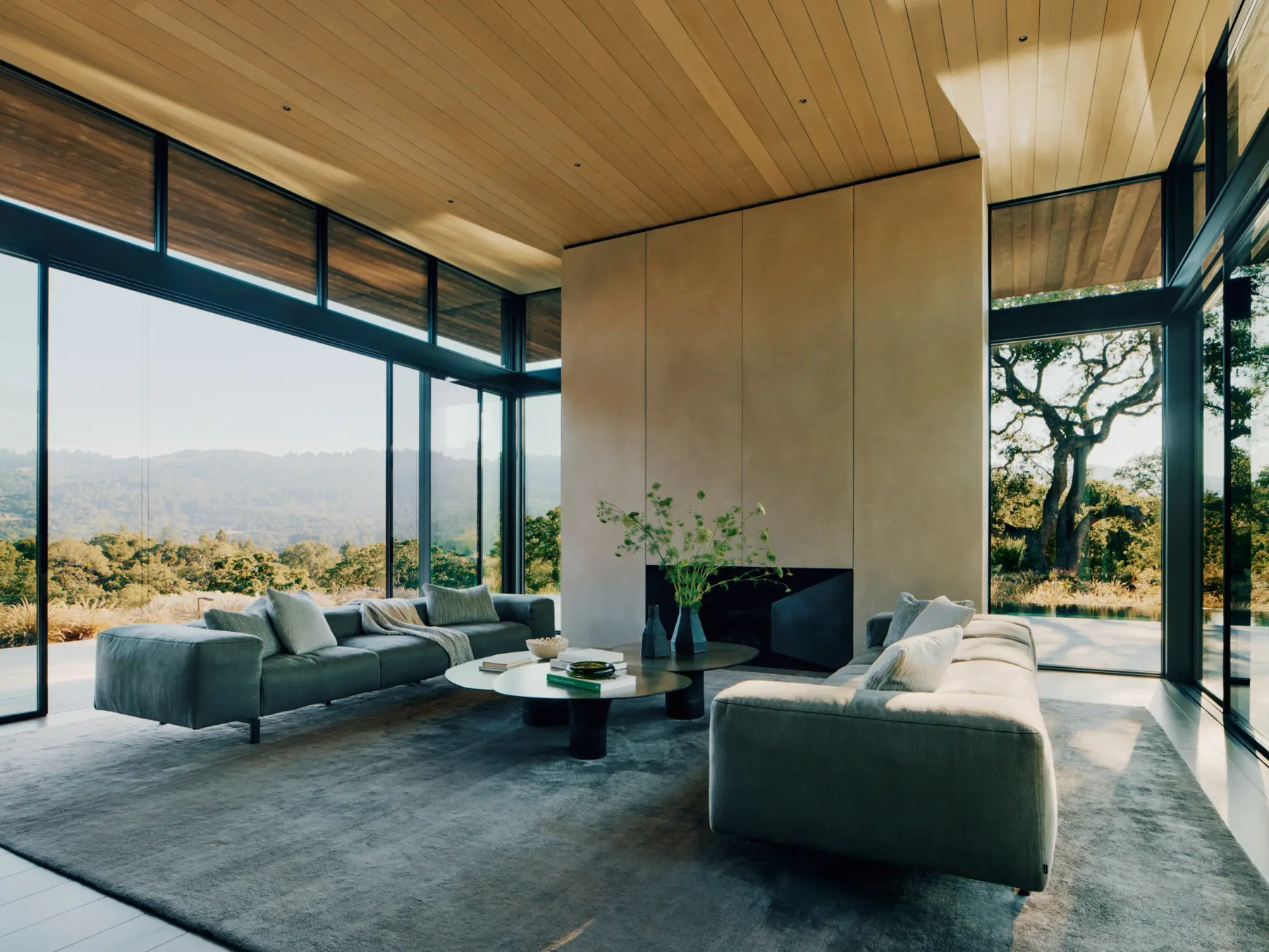 Windy Hill Lookout — Butler Armsden Architects