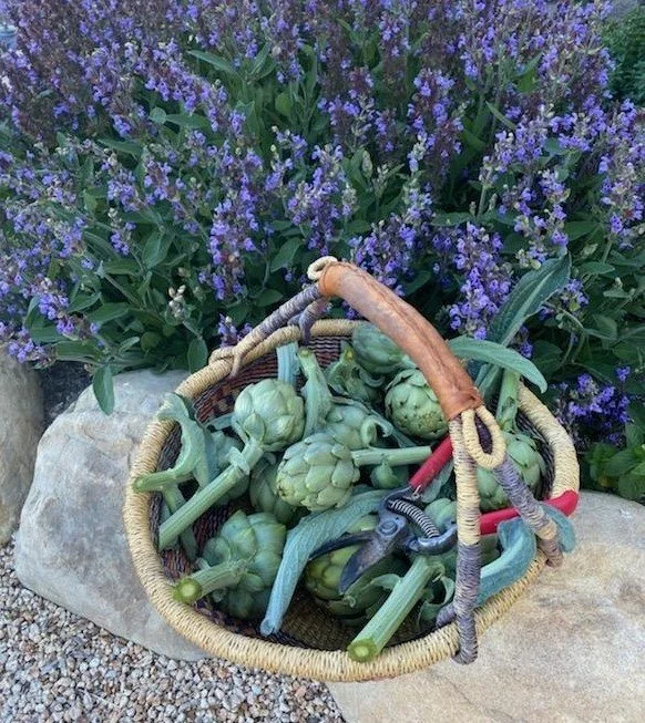 Luretík Farm — Tom Meaney