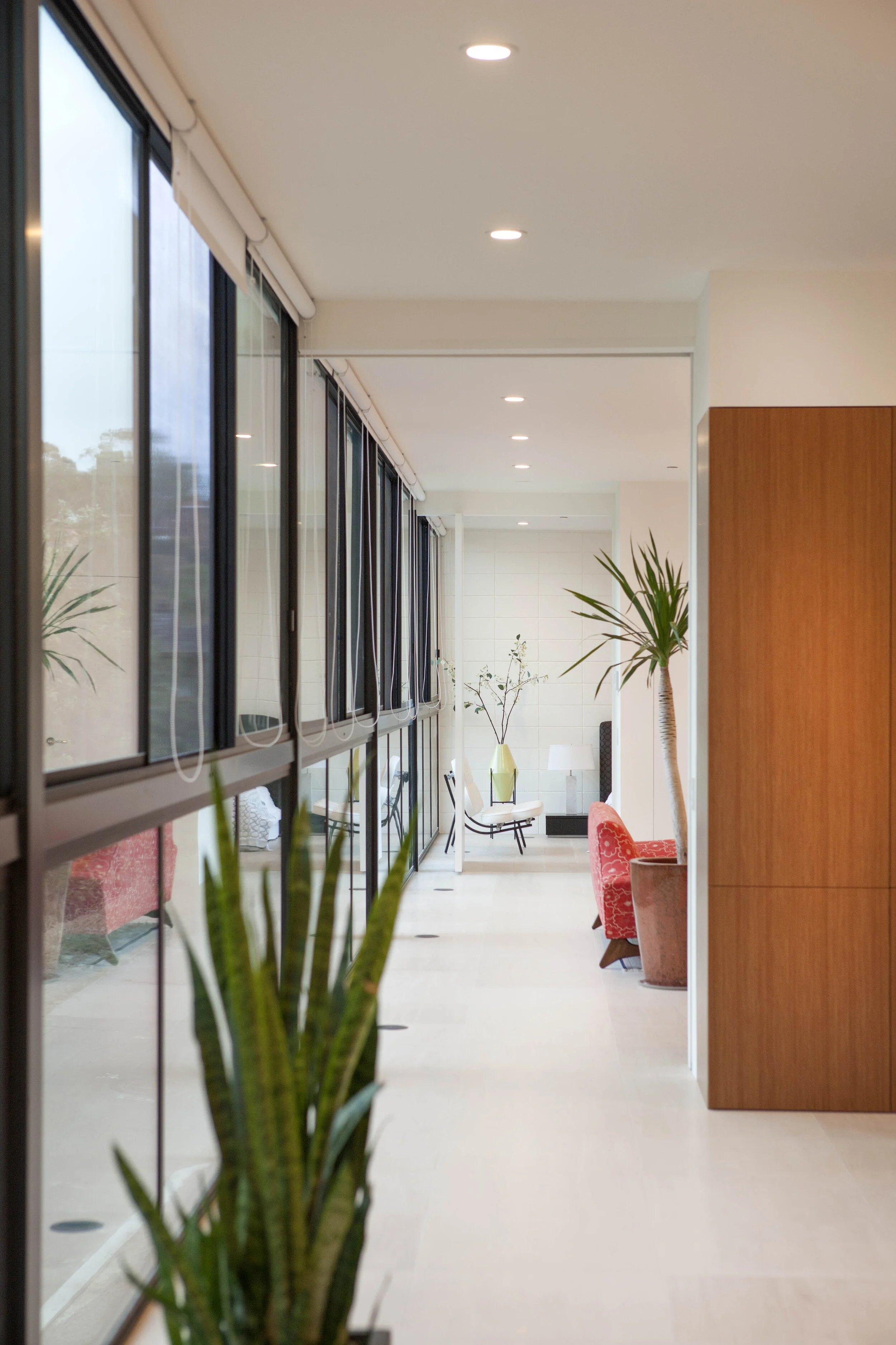 Clea — Nakhshab Development Design
