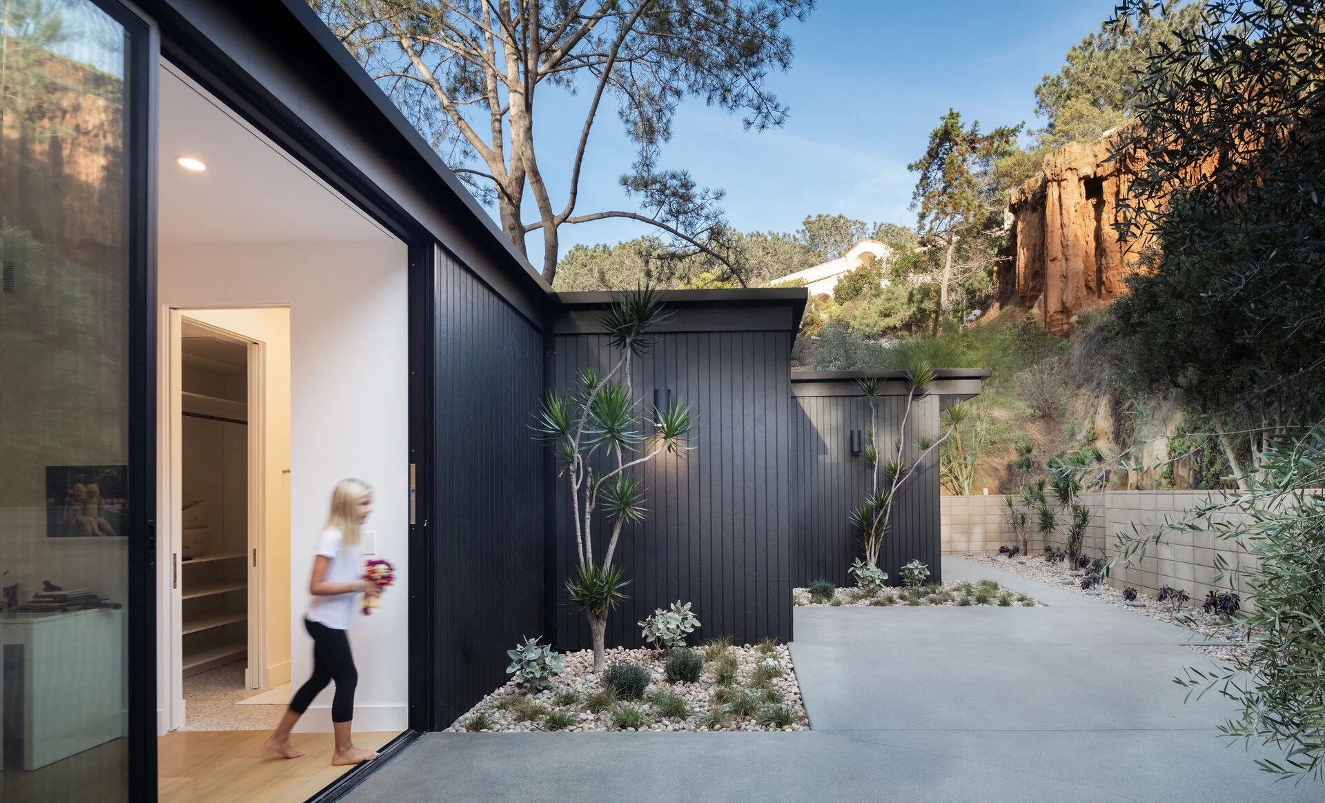 PINE NEEDLES — Nakhshab Development Design