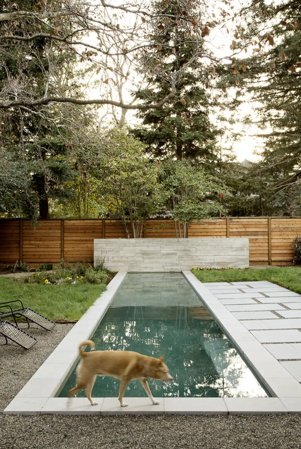 Platinum on the Peninsula — Butler Armsden Architects