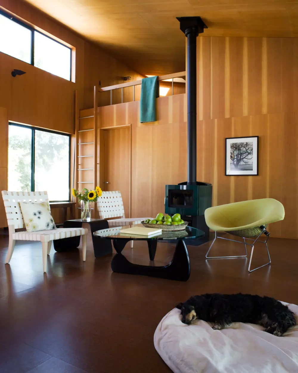 Yolo County Cabin — Butler Armsden Architects