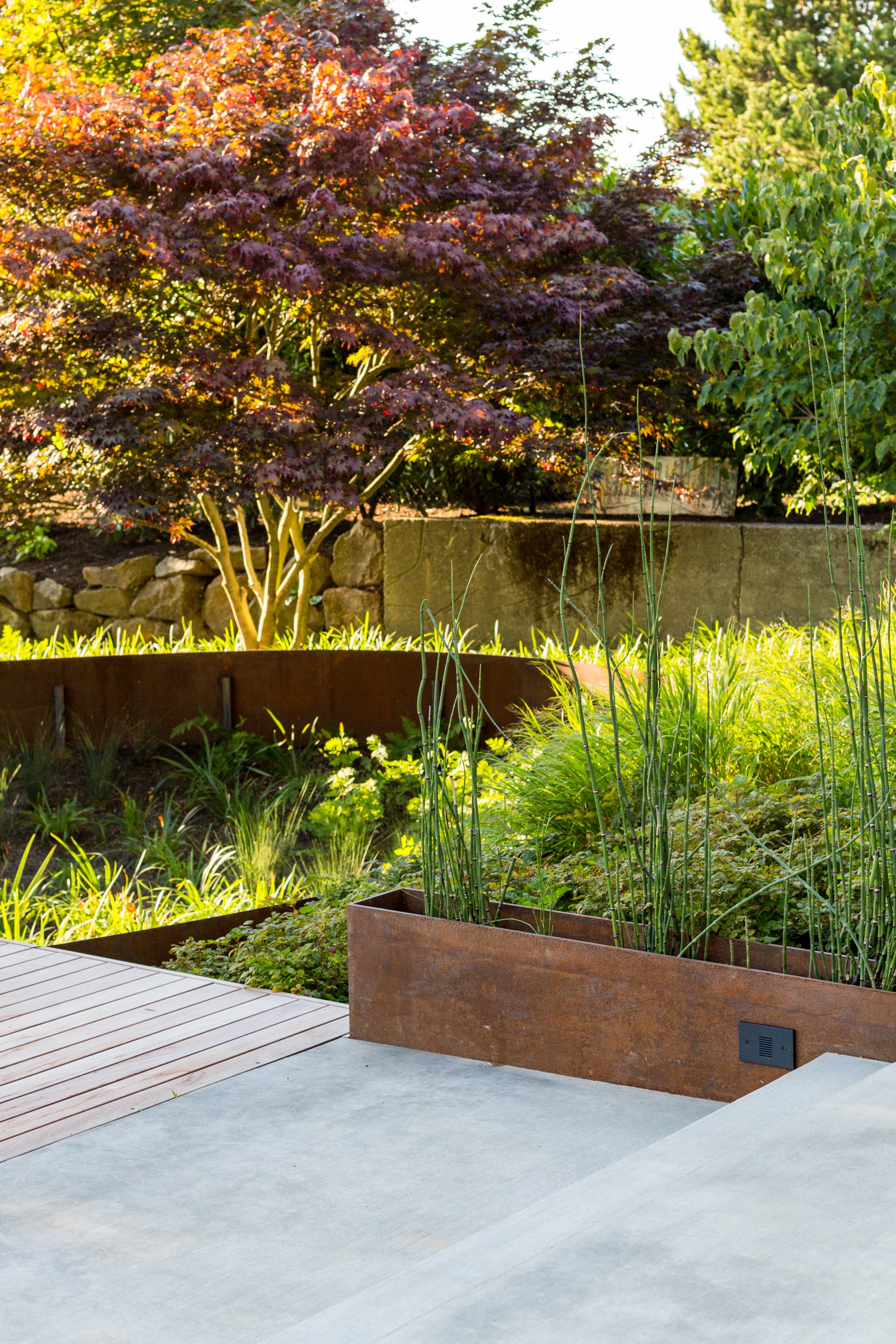 Heliotrope — Magnolia — Heliotrope Architects
