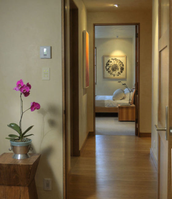 Olympic Penthouse — E Cummings Architect
