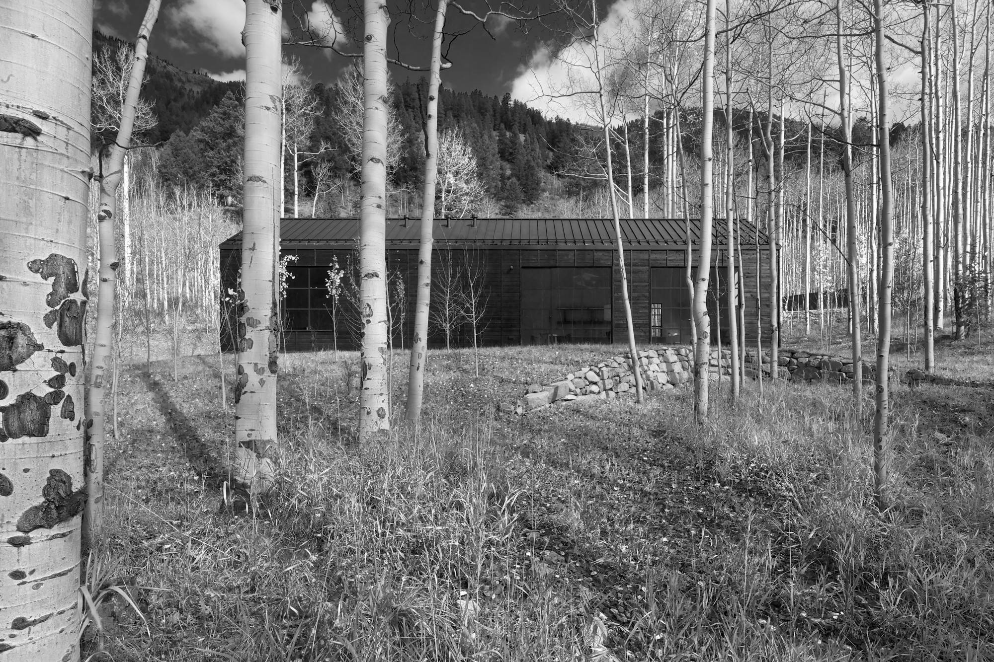 Cottage Black — Studio B 