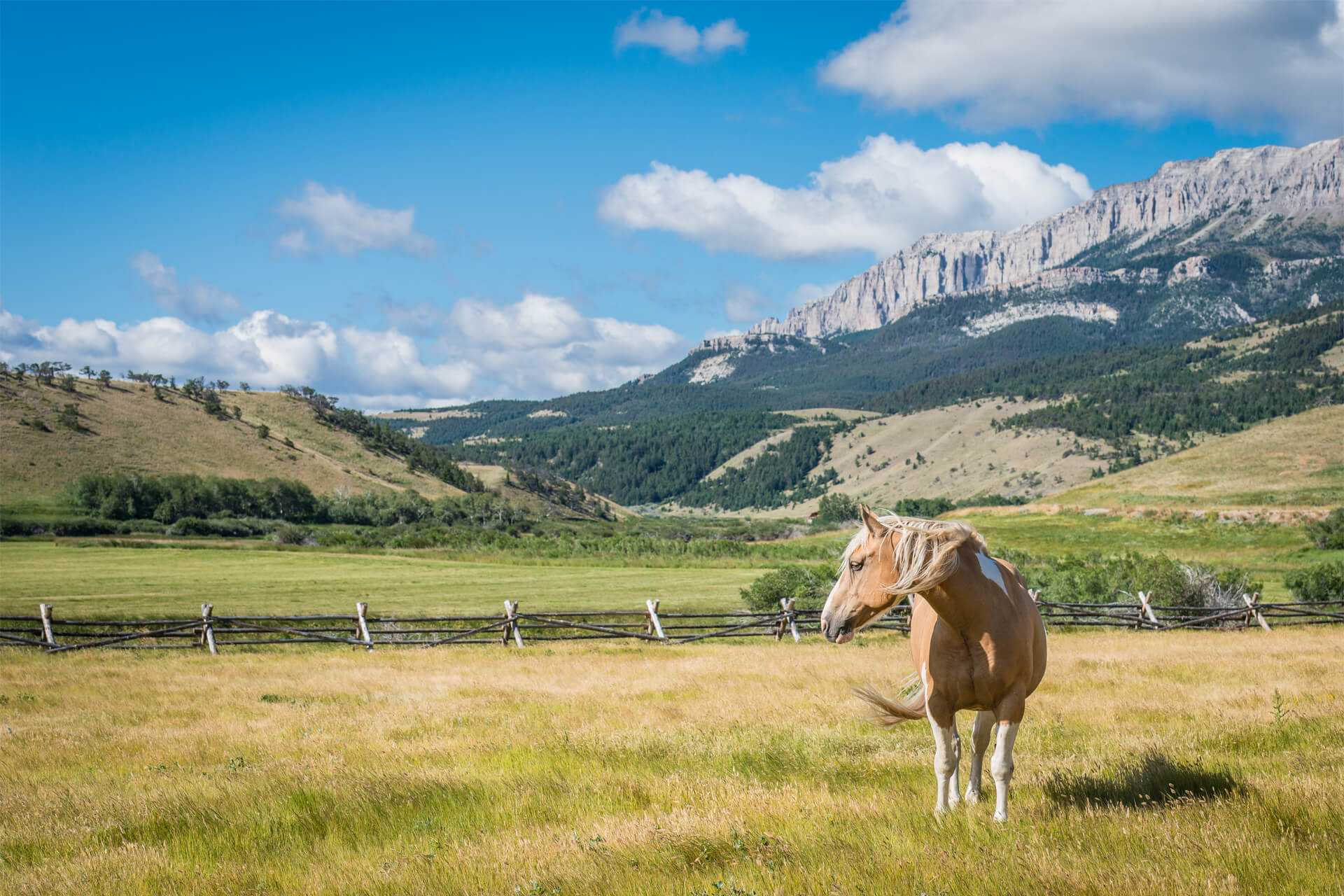 MT Mountain Ranch — Pearson Design Group