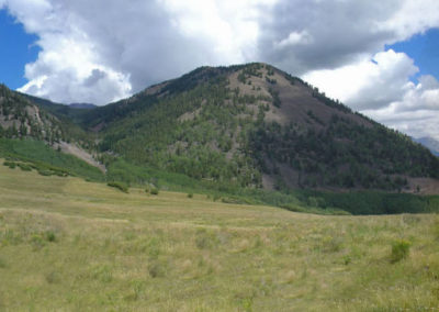 Gray Head — E Cummings Architect