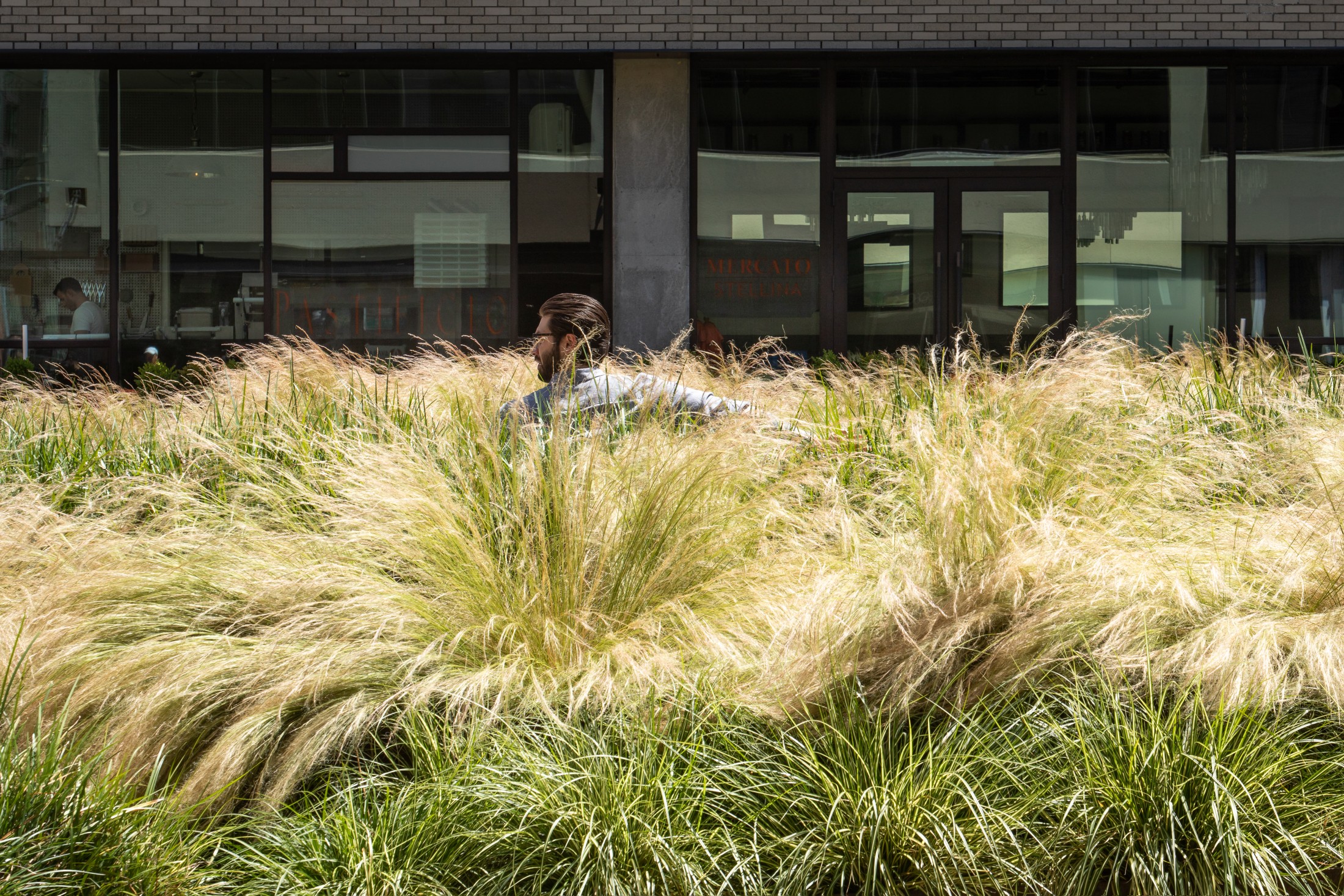 Heliotrope — Marketplace — Heliotrope Architects