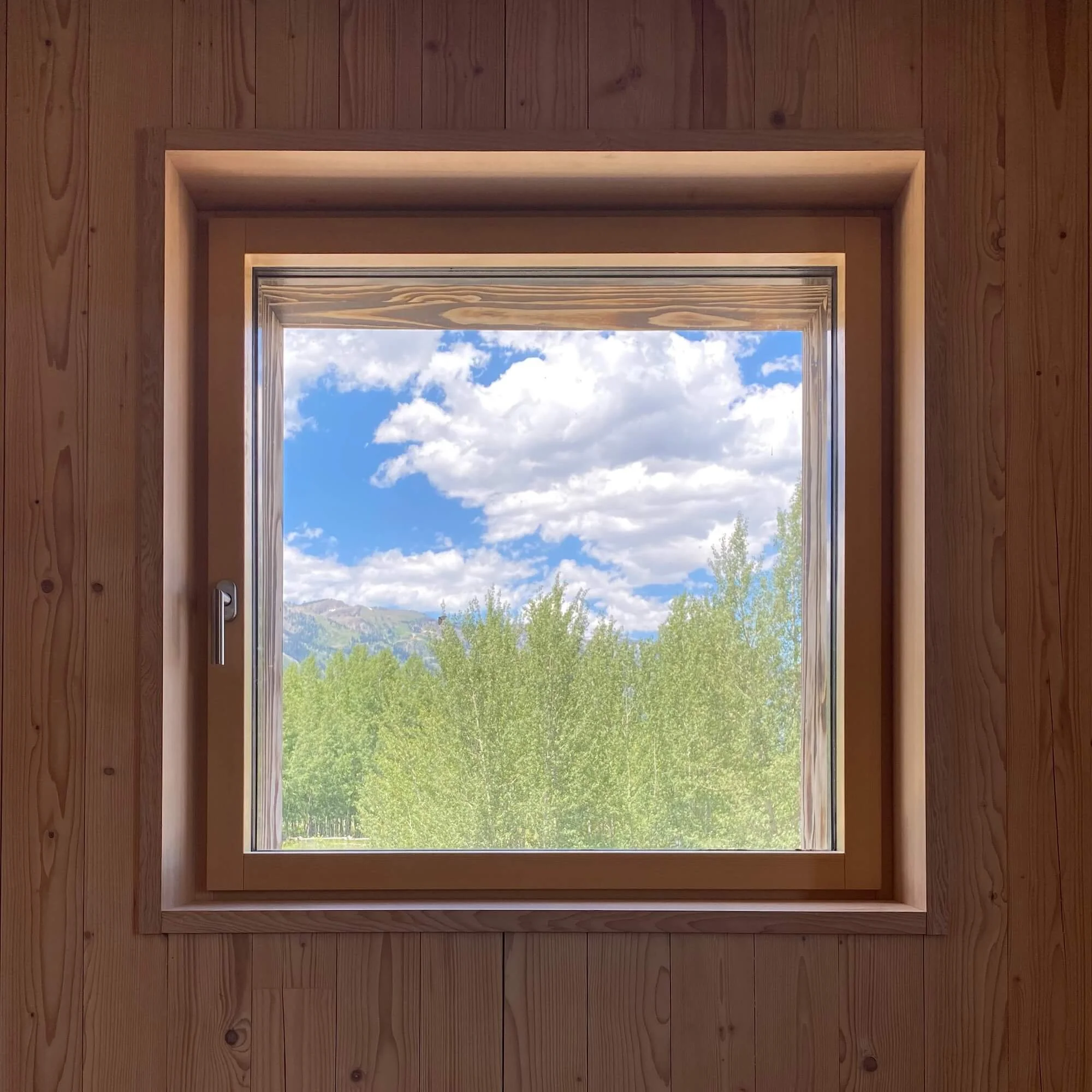 Tree Haus — Love | Schack Architecture