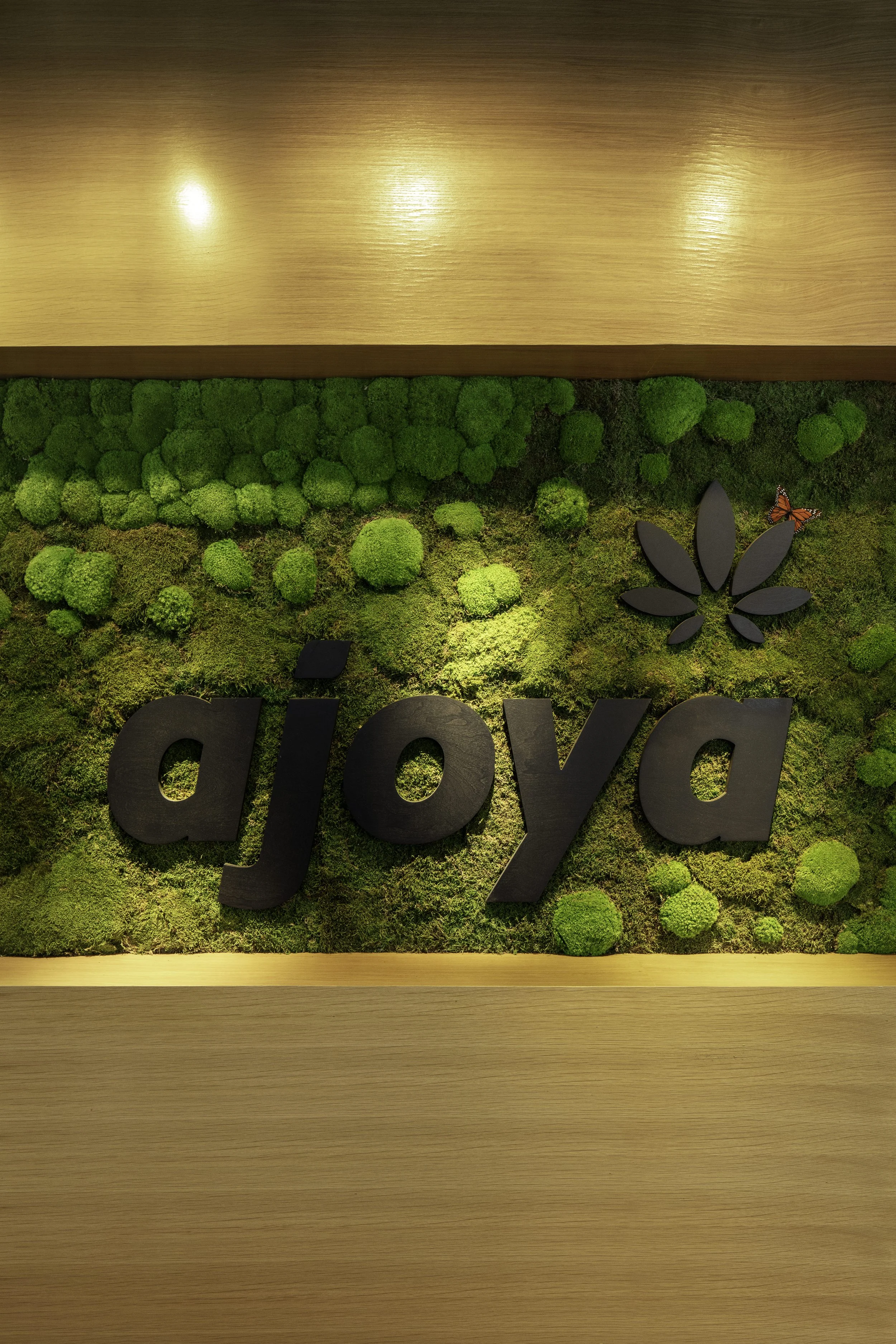 AJOYA LAKEWOOD — Roth Sheppard Architects