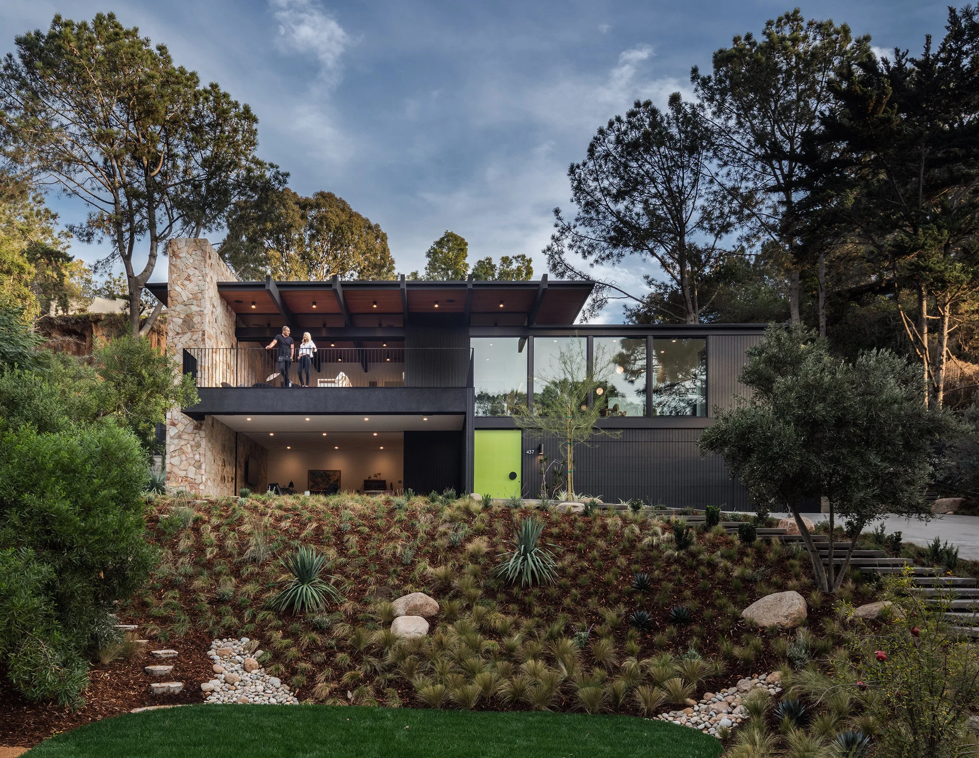 PINE NEEDLES — Nakhshab Development Design