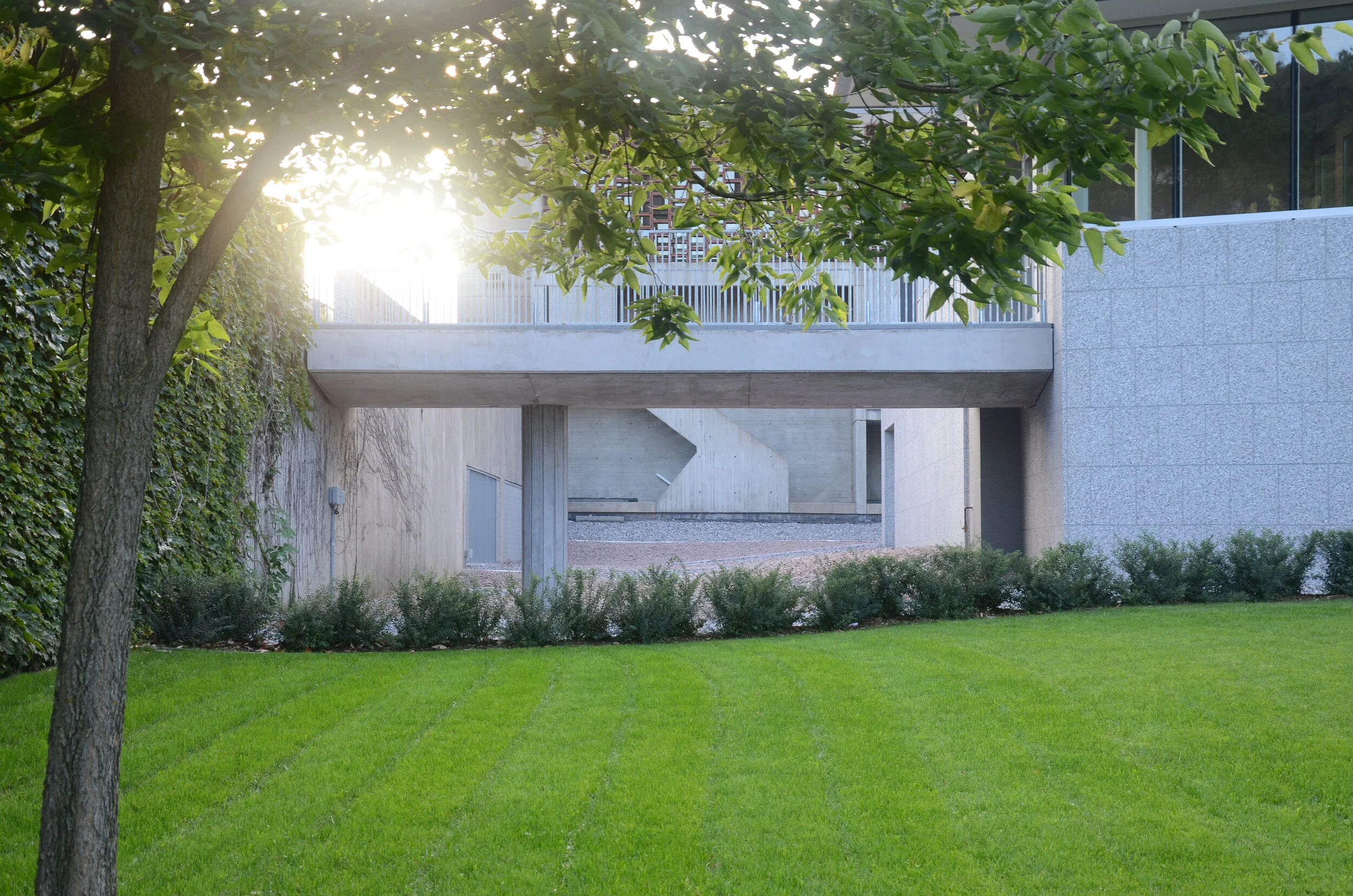 St. John’s University Learning Commons — Studio NYL