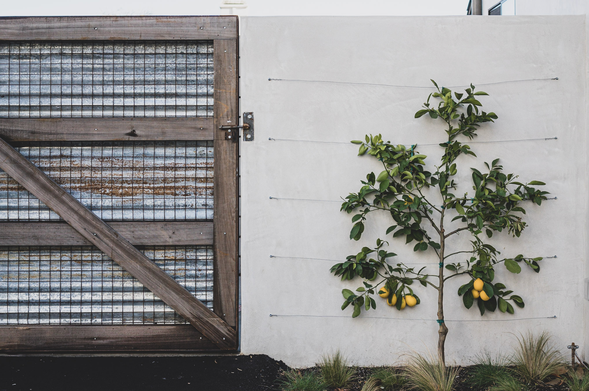 ORTEGA — Becker Studios