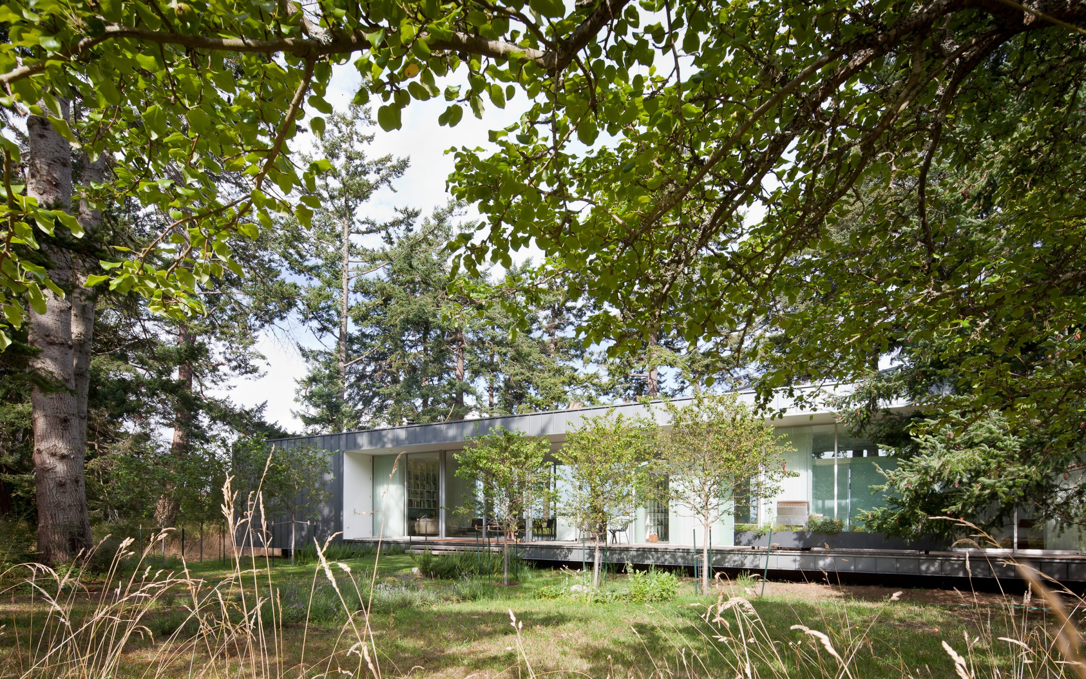 Heliotrope — North Beach — Heliotrope Architects