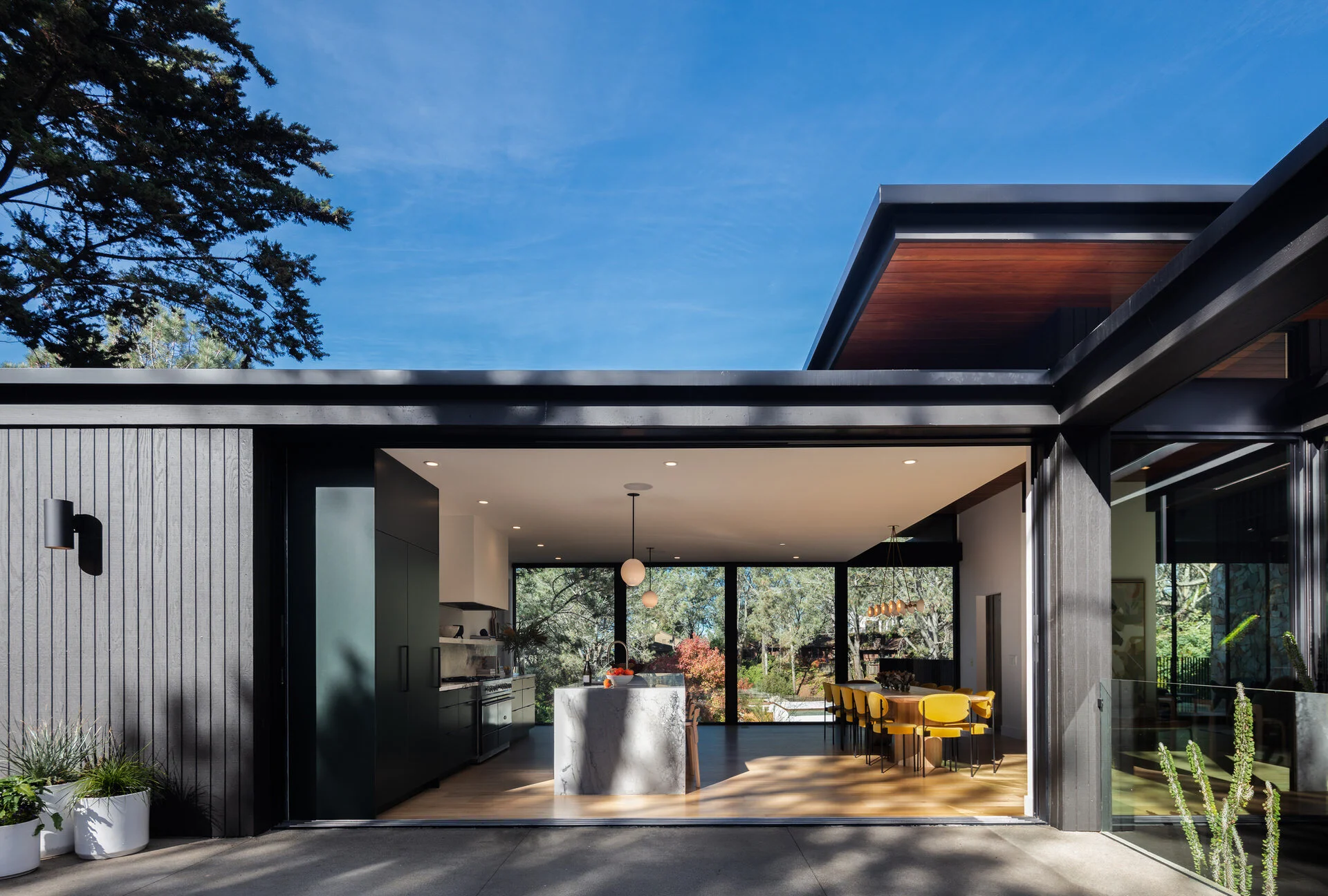 PINE NEEDLES — Nakhshab Development Design