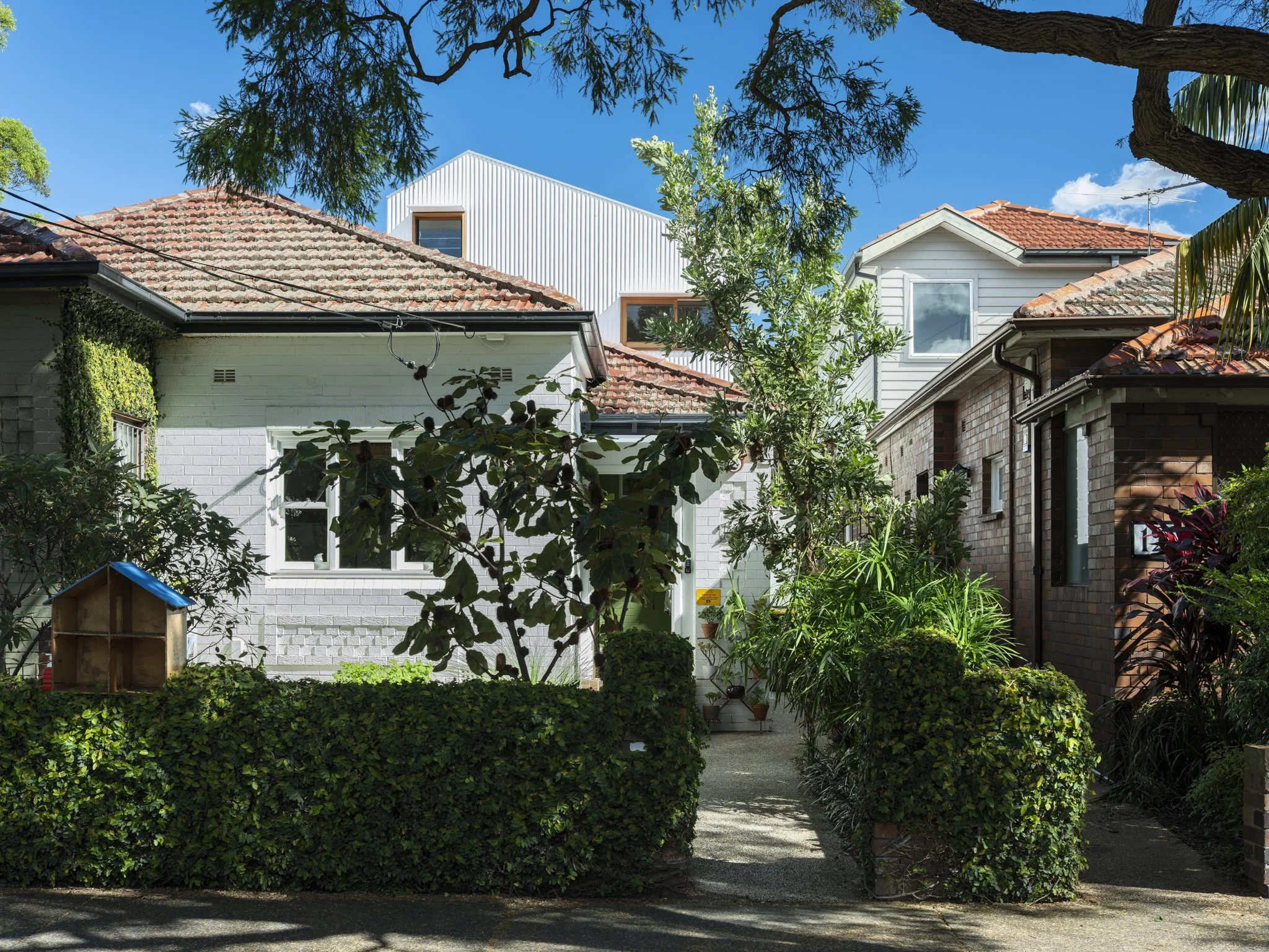 Fondue House, Marrickville — Castlepeake Architects