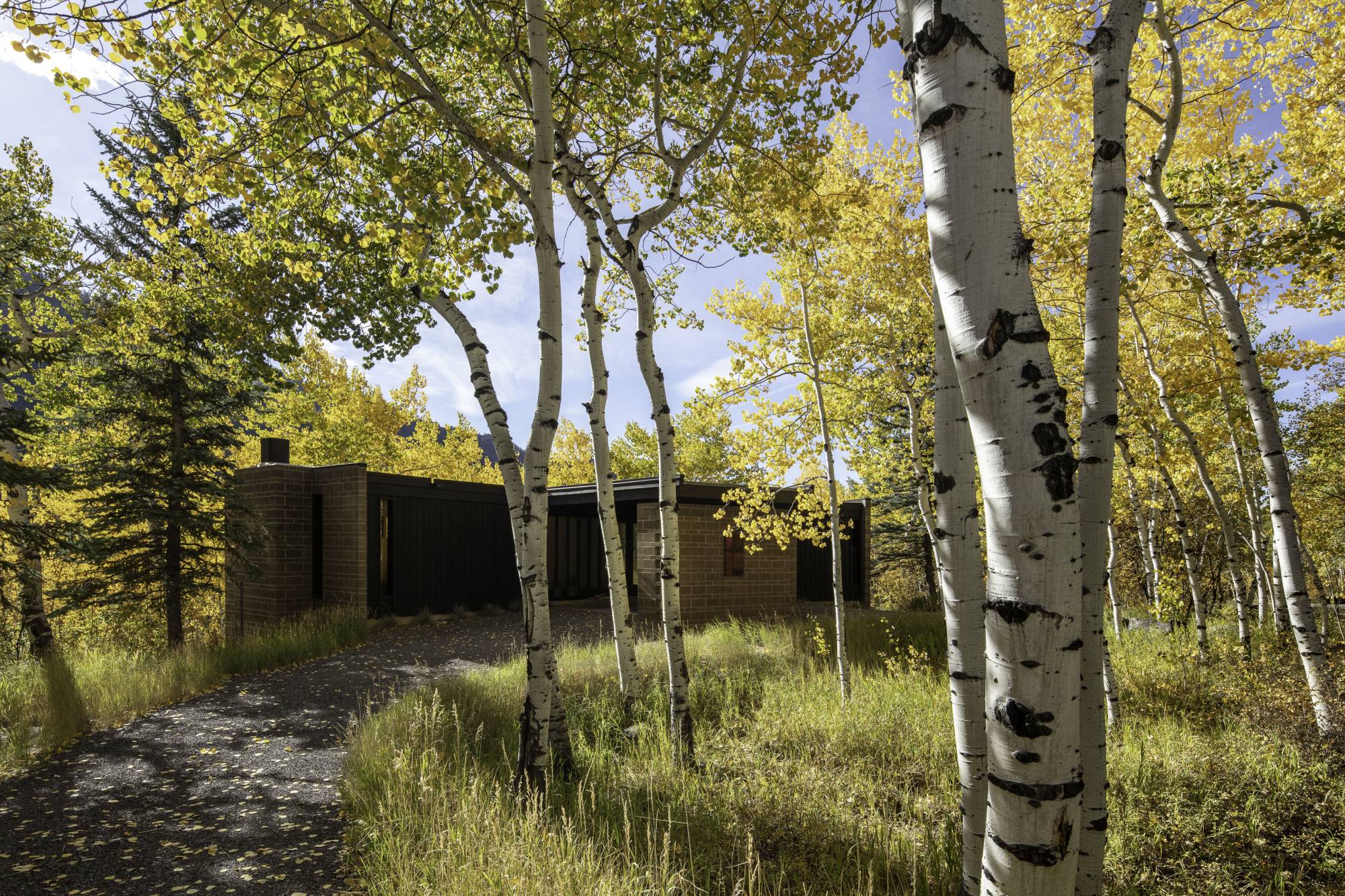The Perch — Studio B 