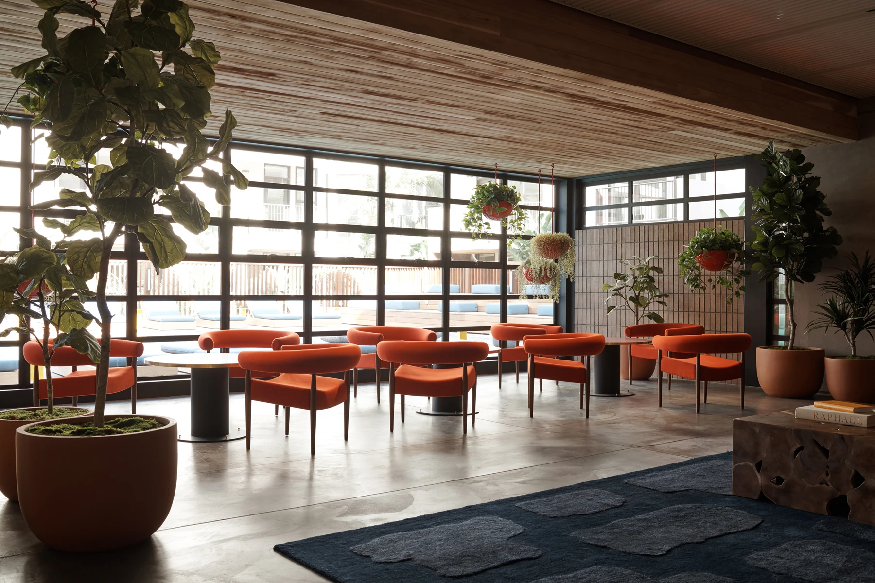 El Centro — Commune Design