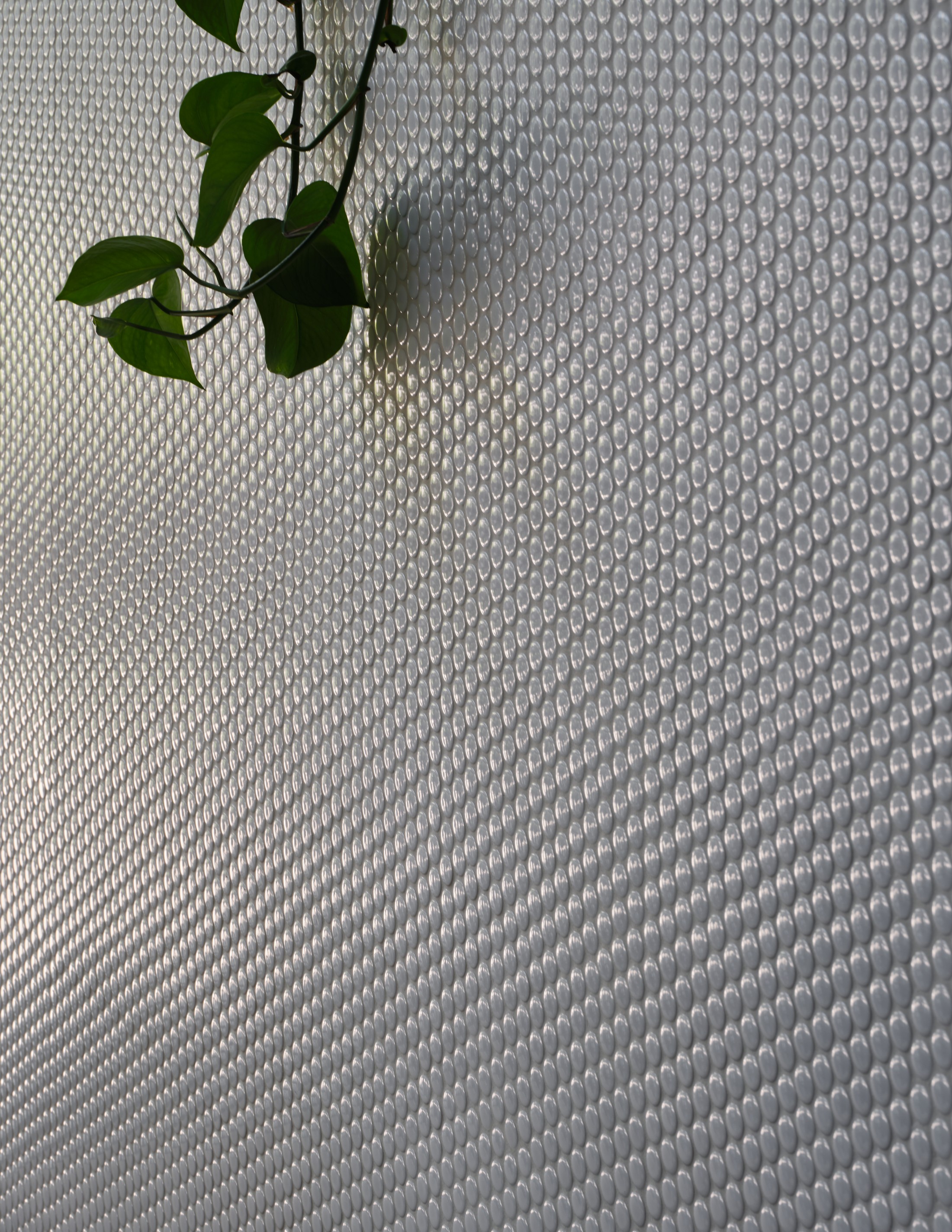 Heliotrope — Mainstay Provisions SLU — Heliotrope Architects