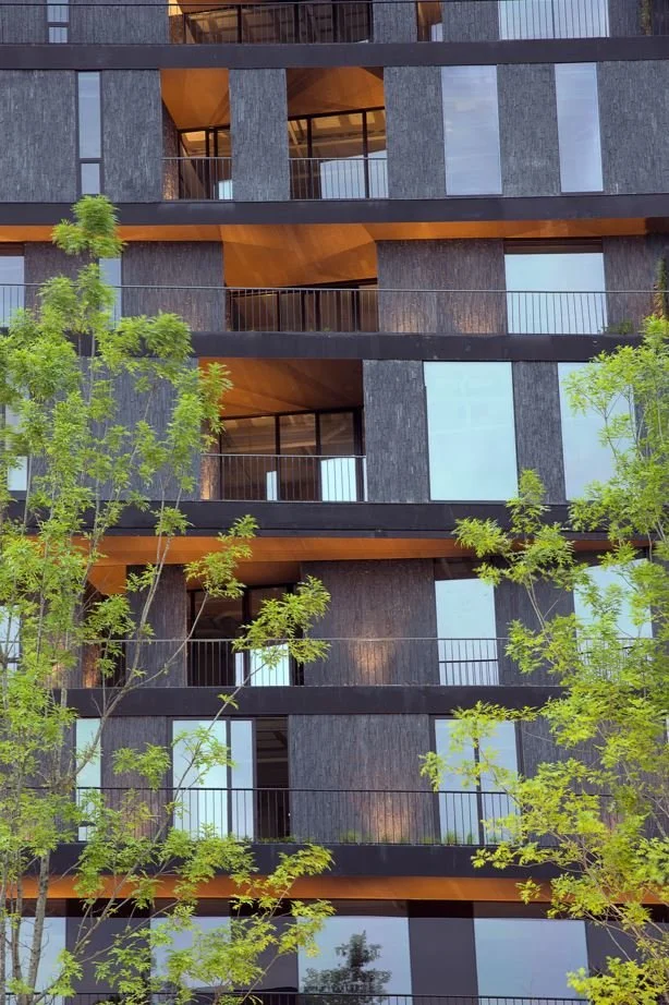 High Park — Studio NYL